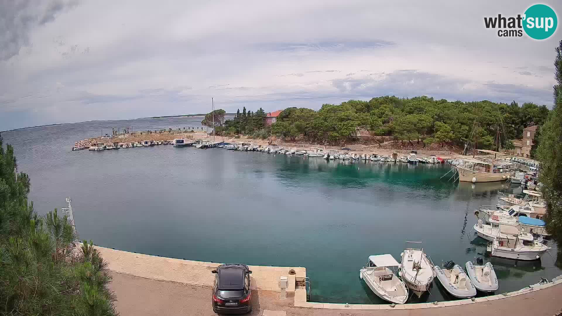 Mandre – marina