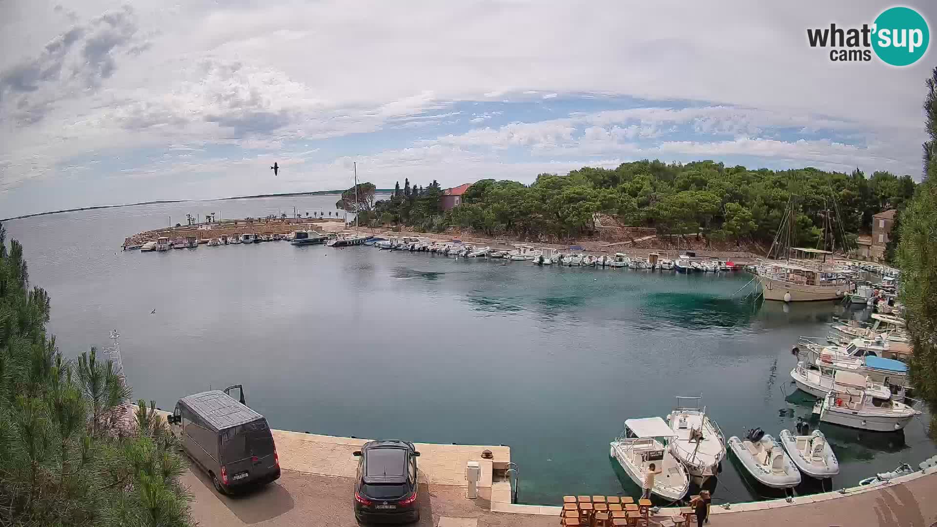 Mandre – marina
