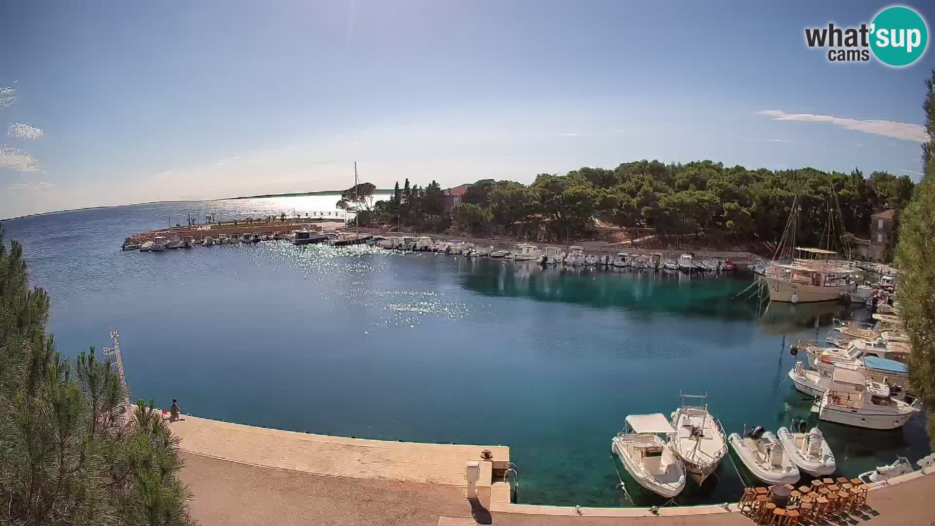Mandre – marina
