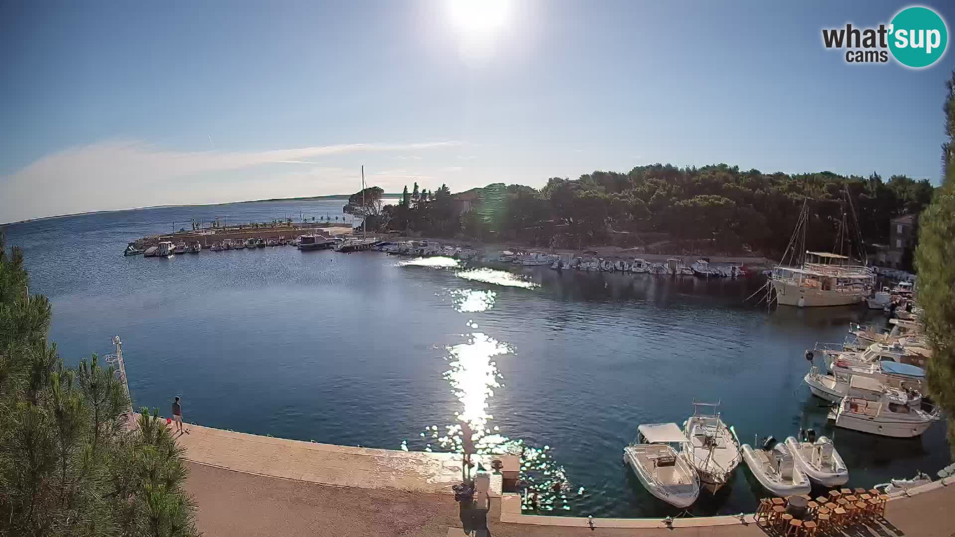 Mandre – marina