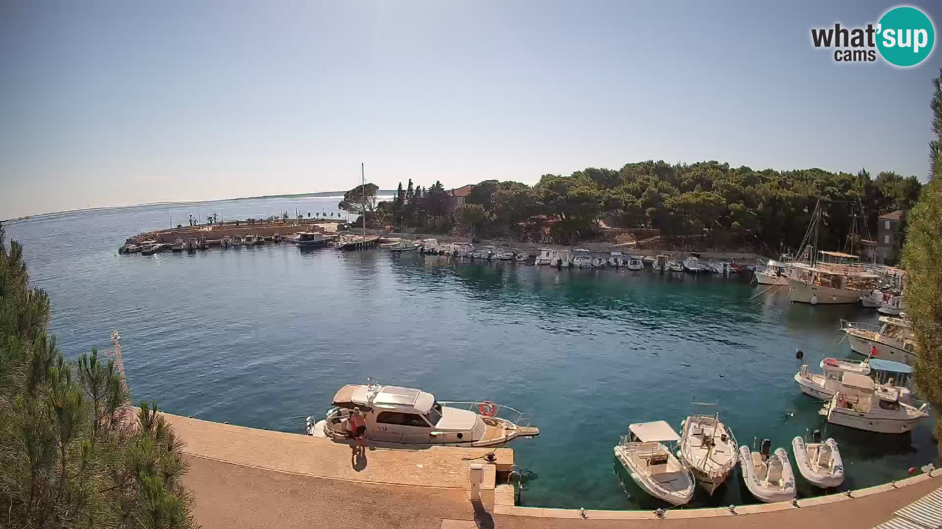 Mandre – marina