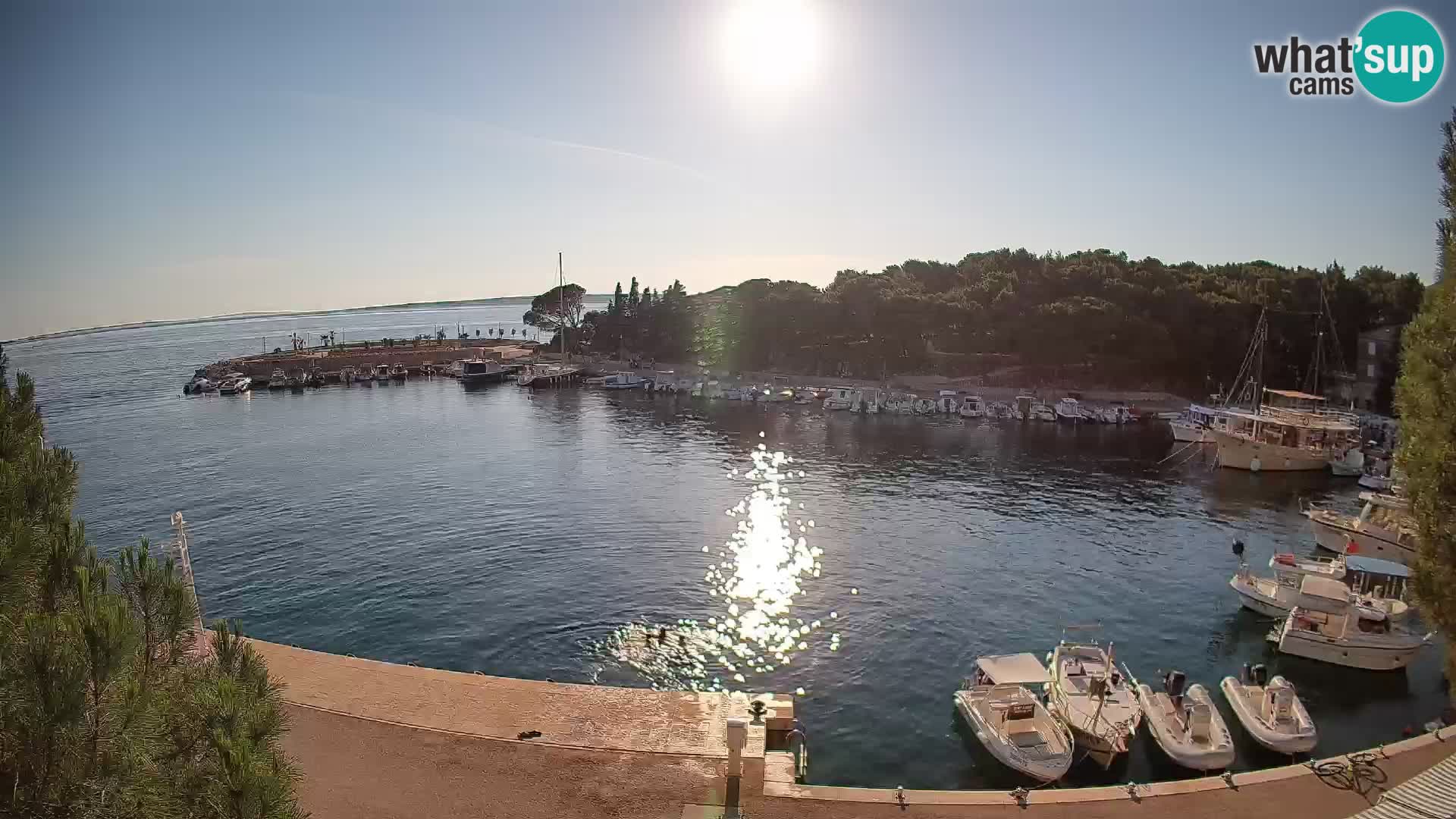 Mandre – marina