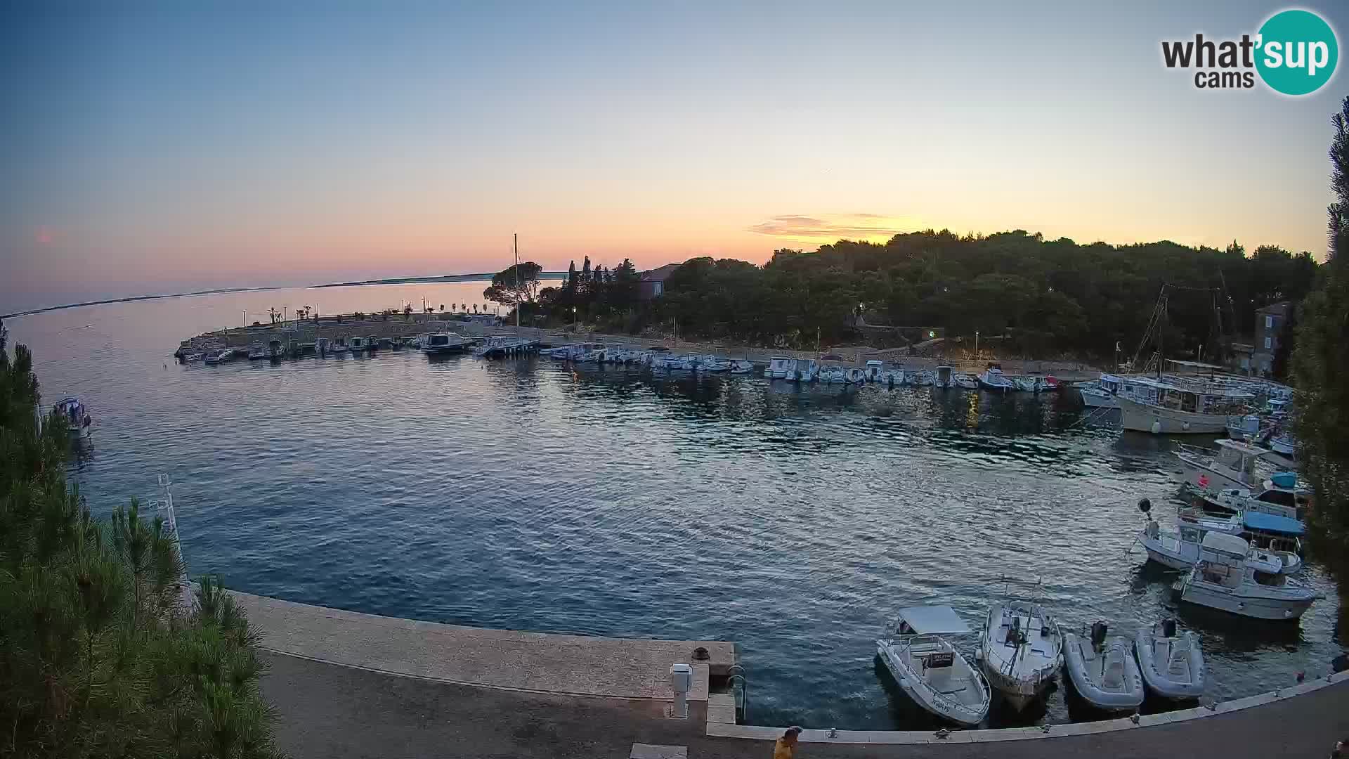 Mandre – marina