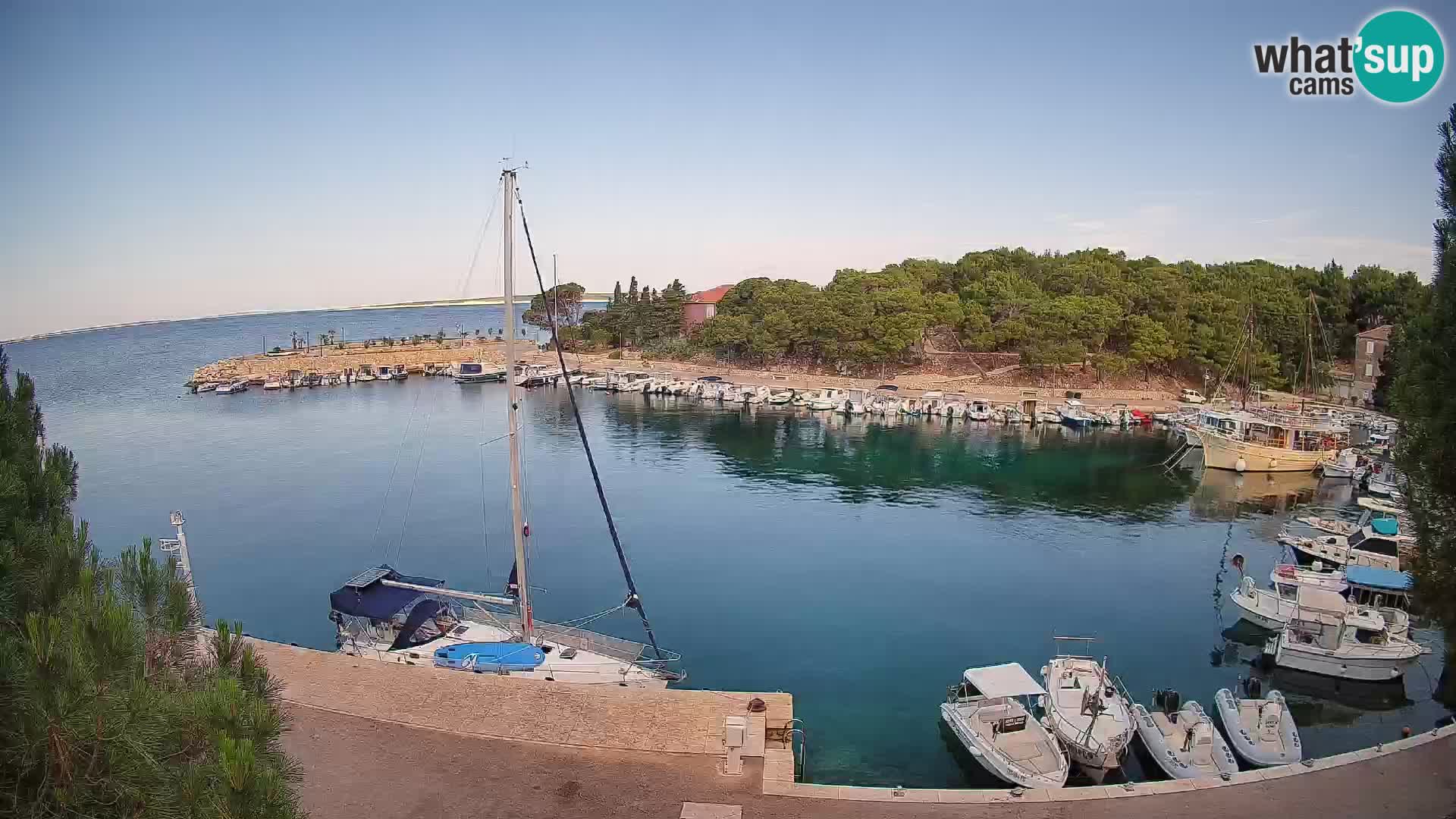 Mandre – marina