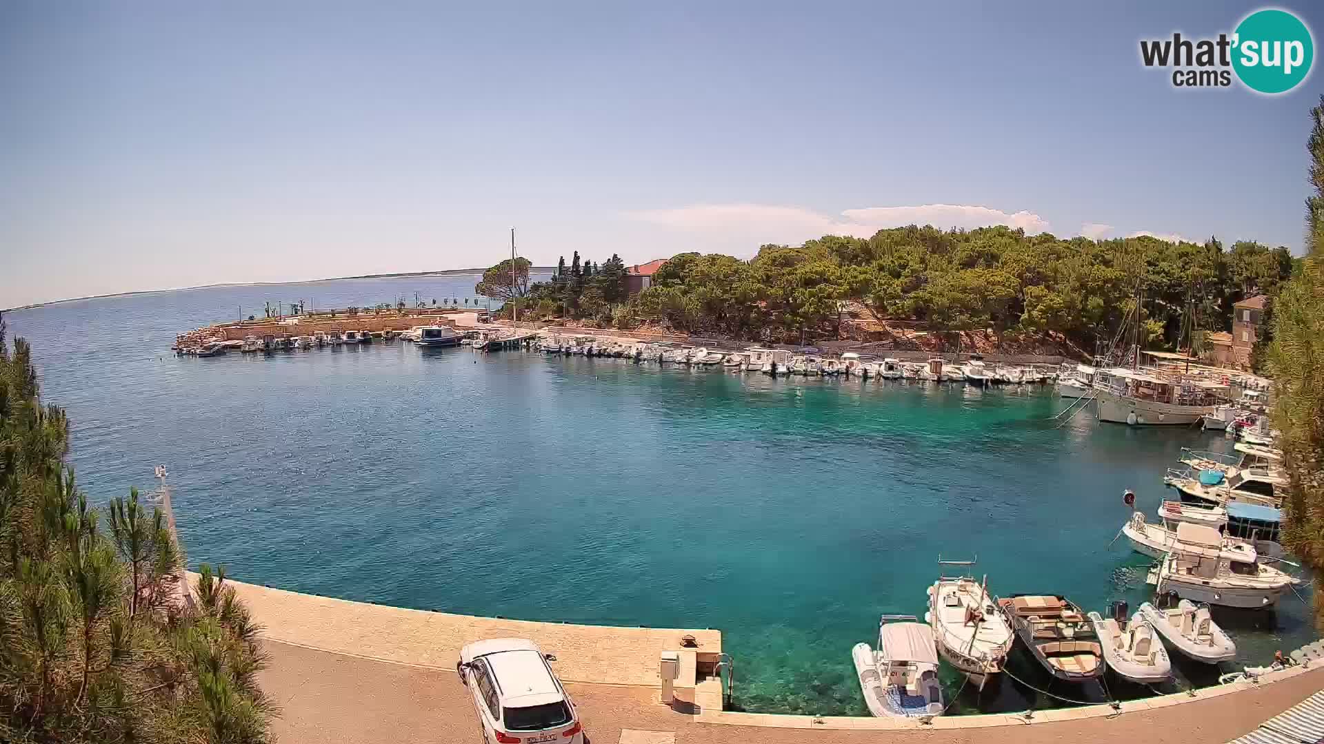 Mandre – marina