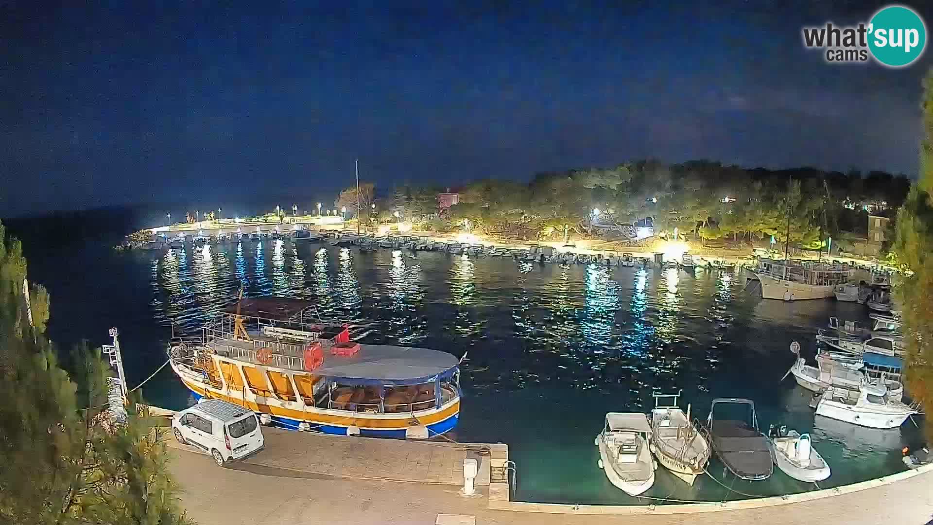 Mandre – marina