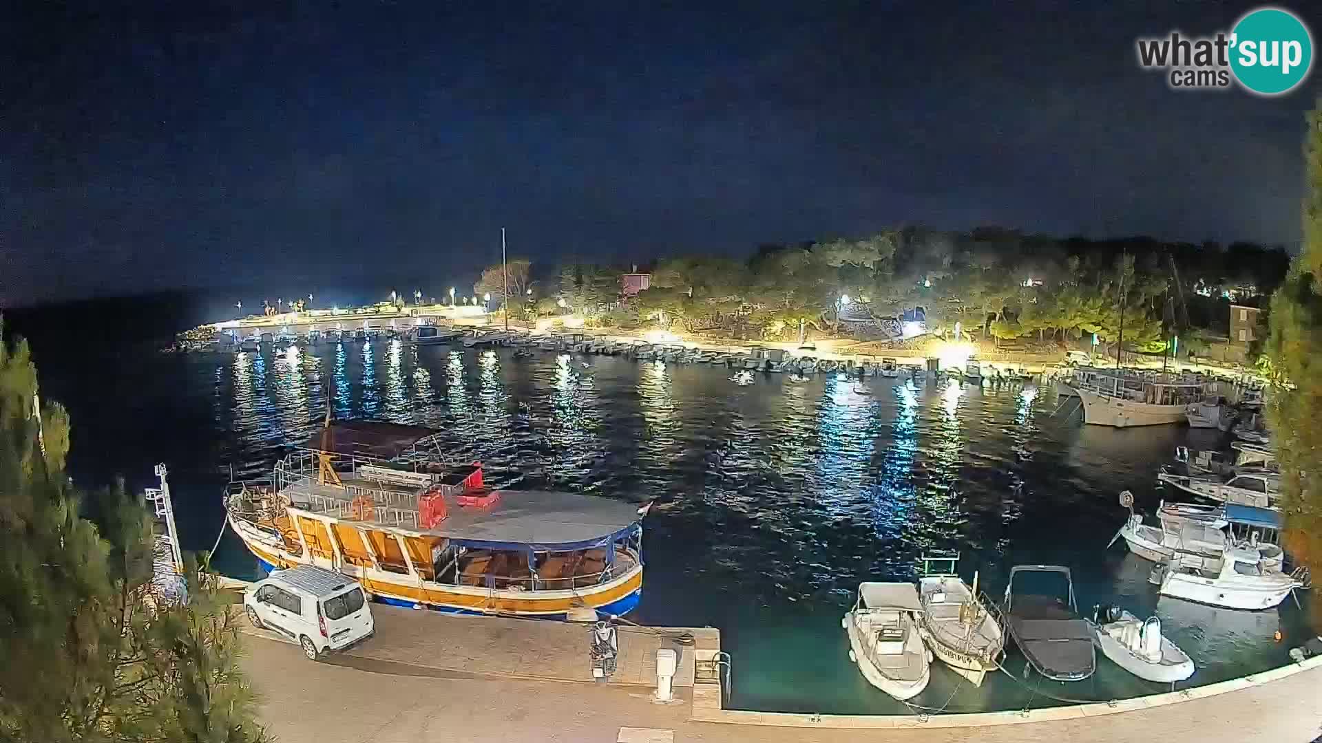 Mandre – marina