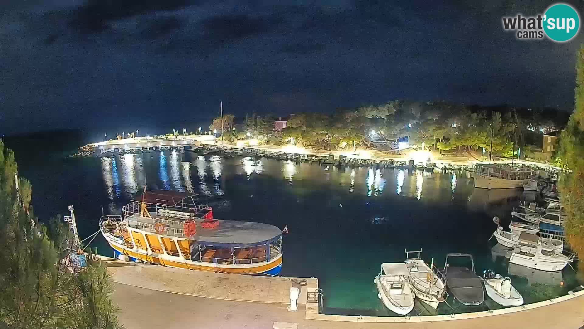 Mandre – marina