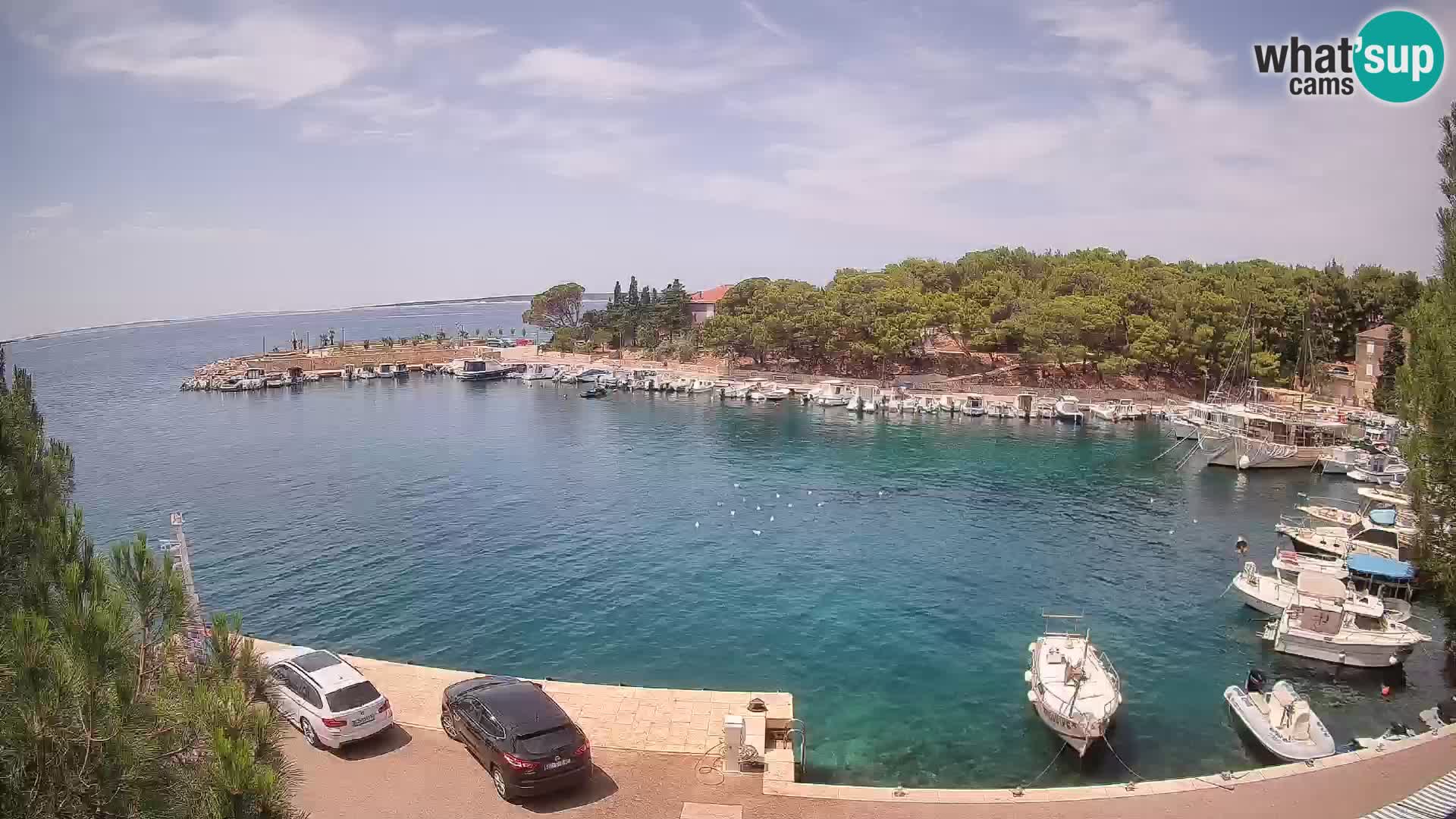 Mandre – marina