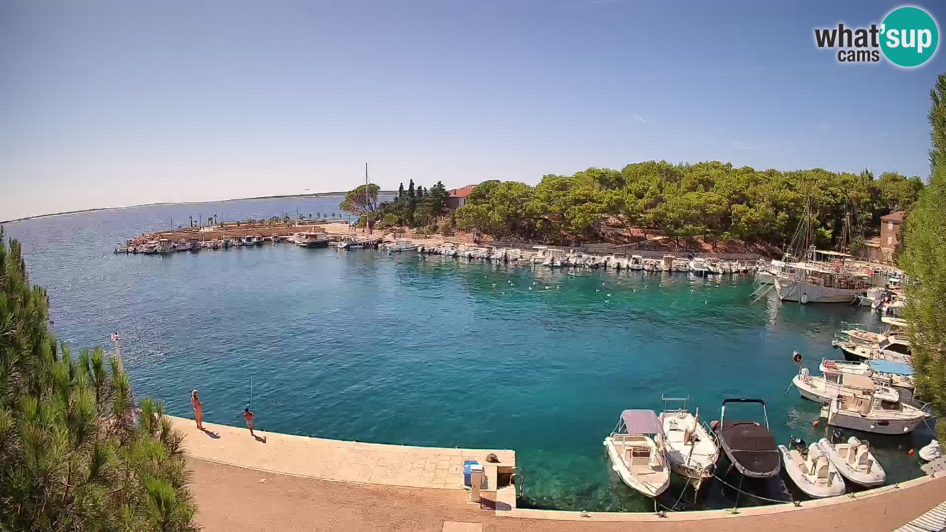 Mandre – marina