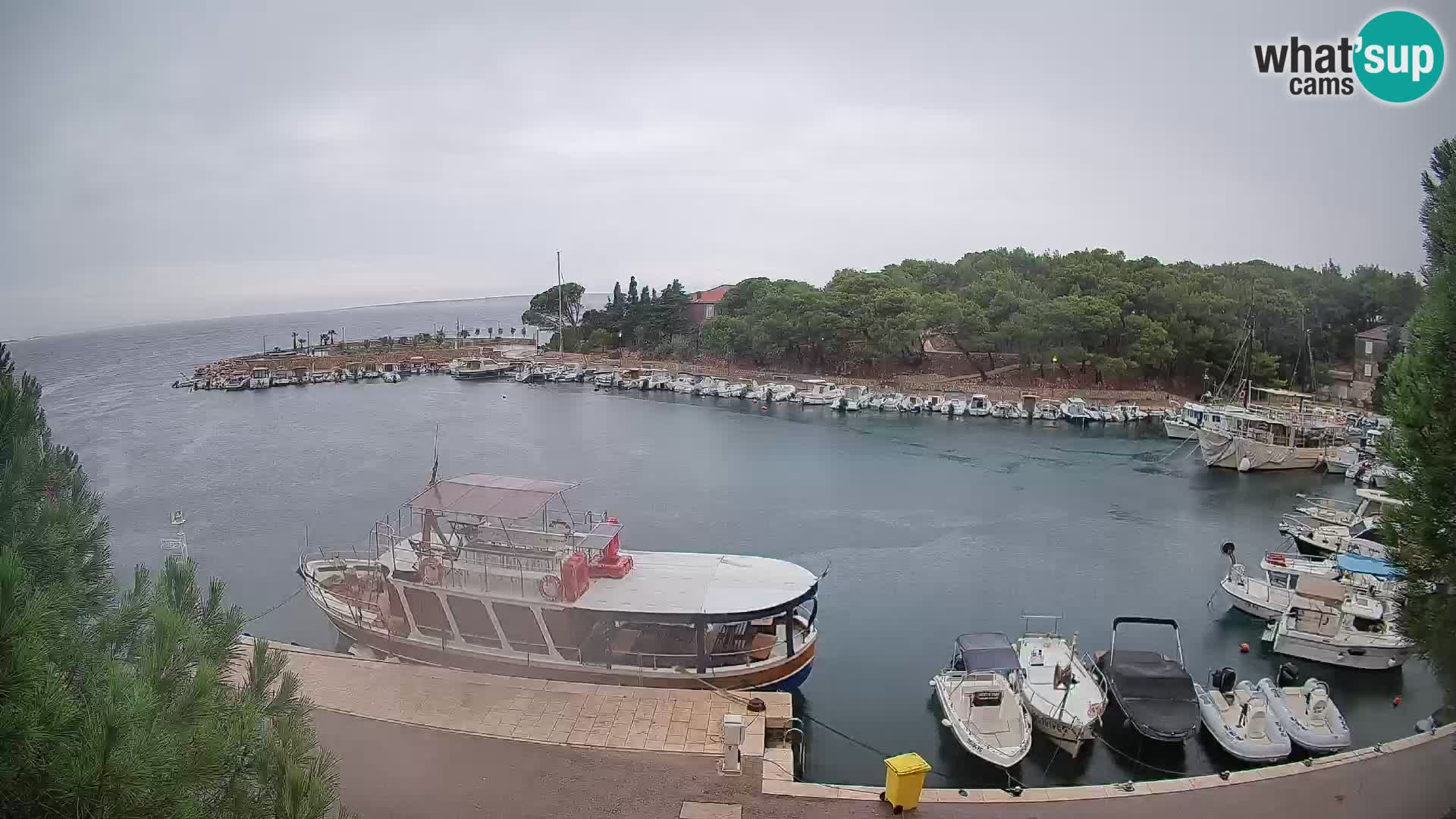 Mandre – marina