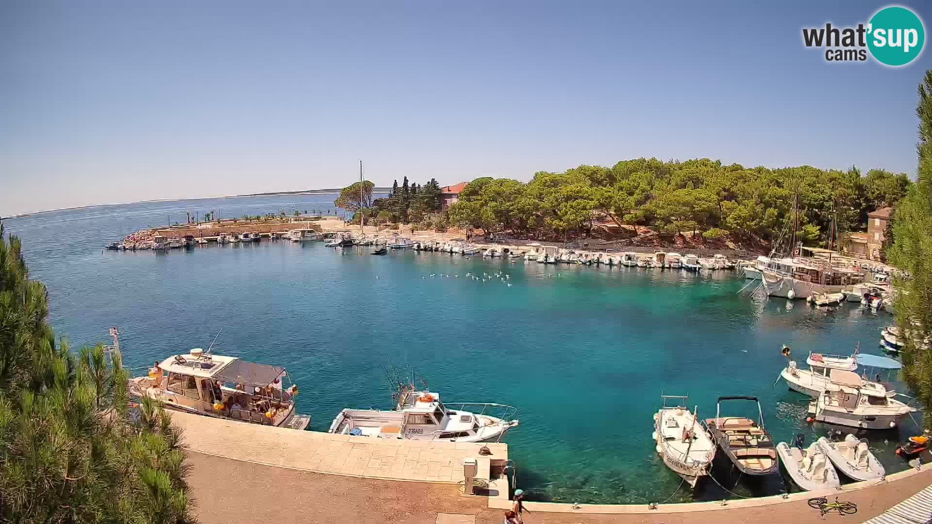 Mandre – marina