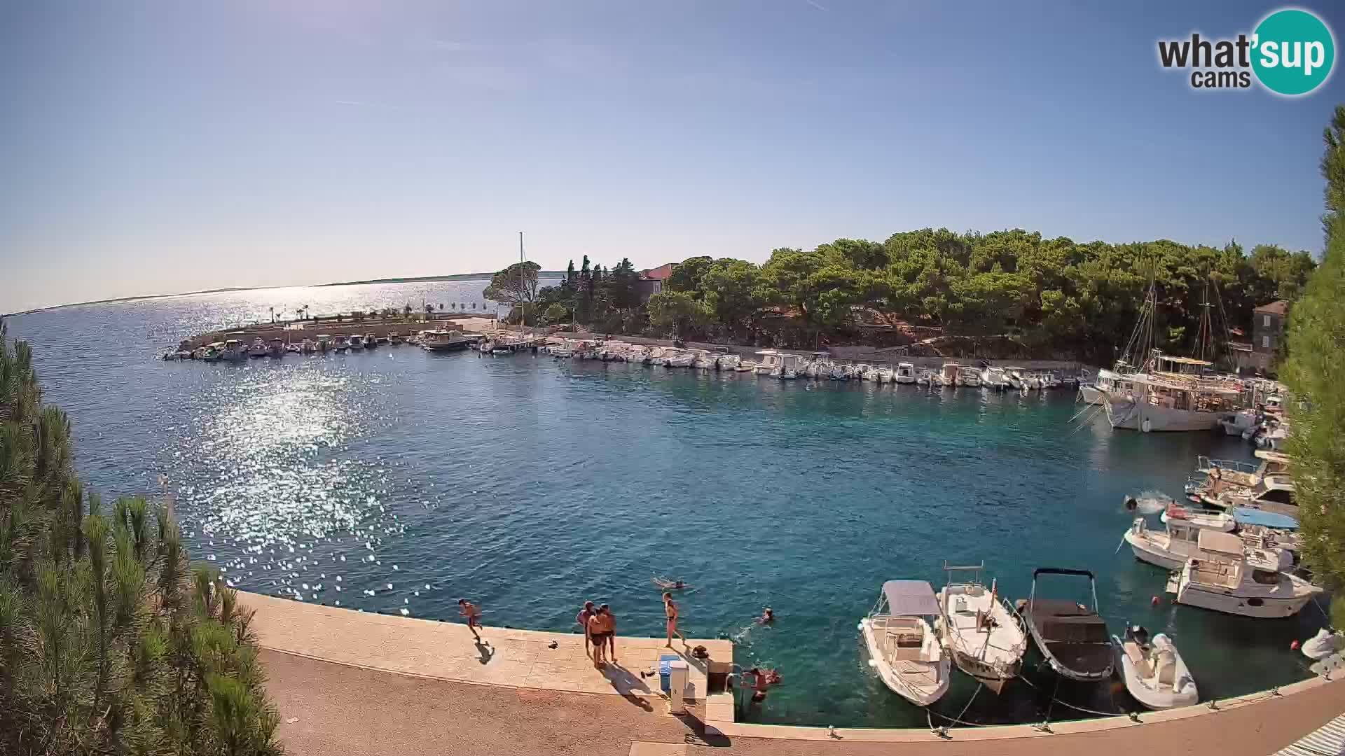 Mandre – marina