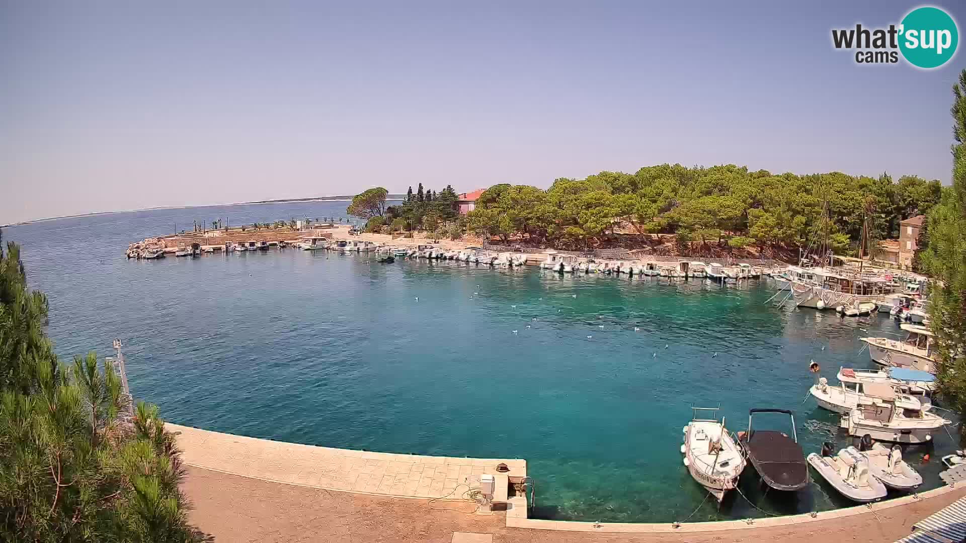 Mandre – marina