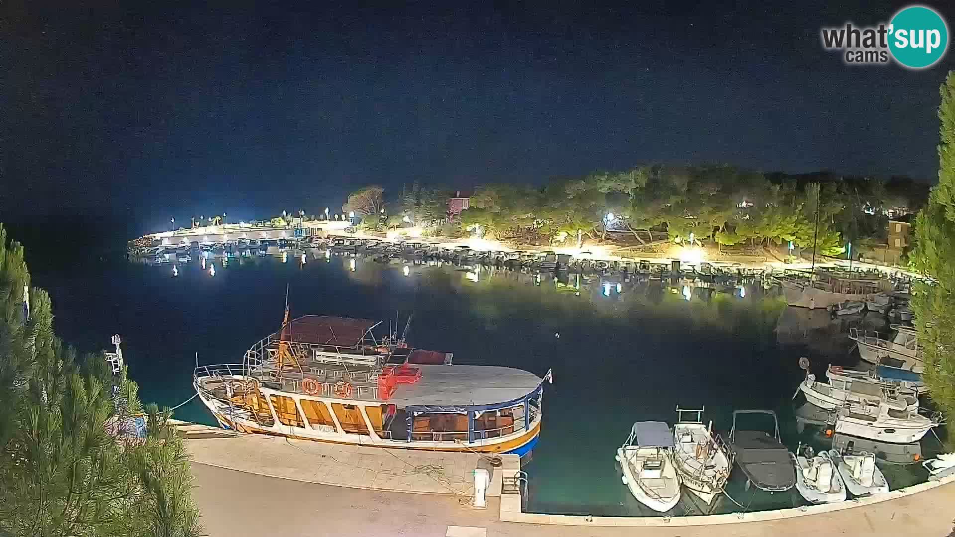 Mandre – marina
