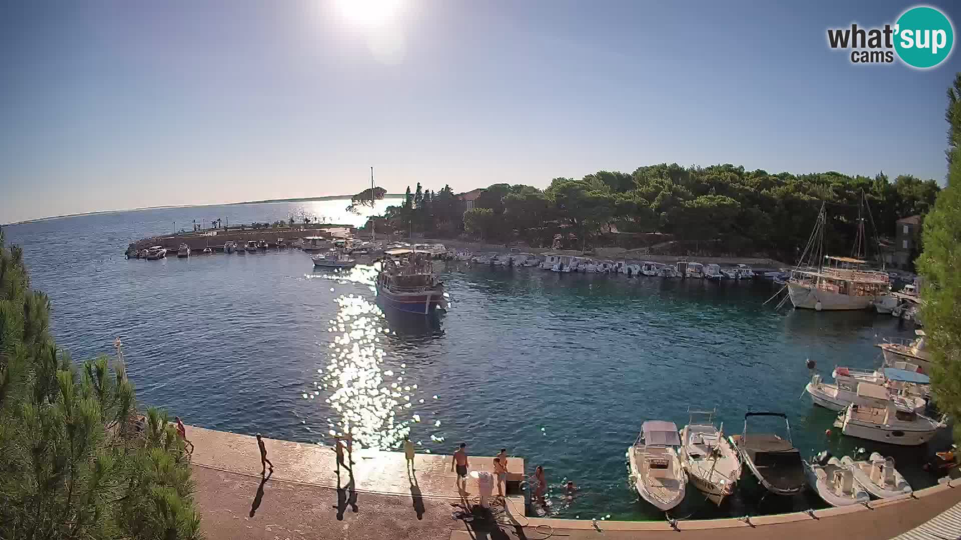 Mandre – marina