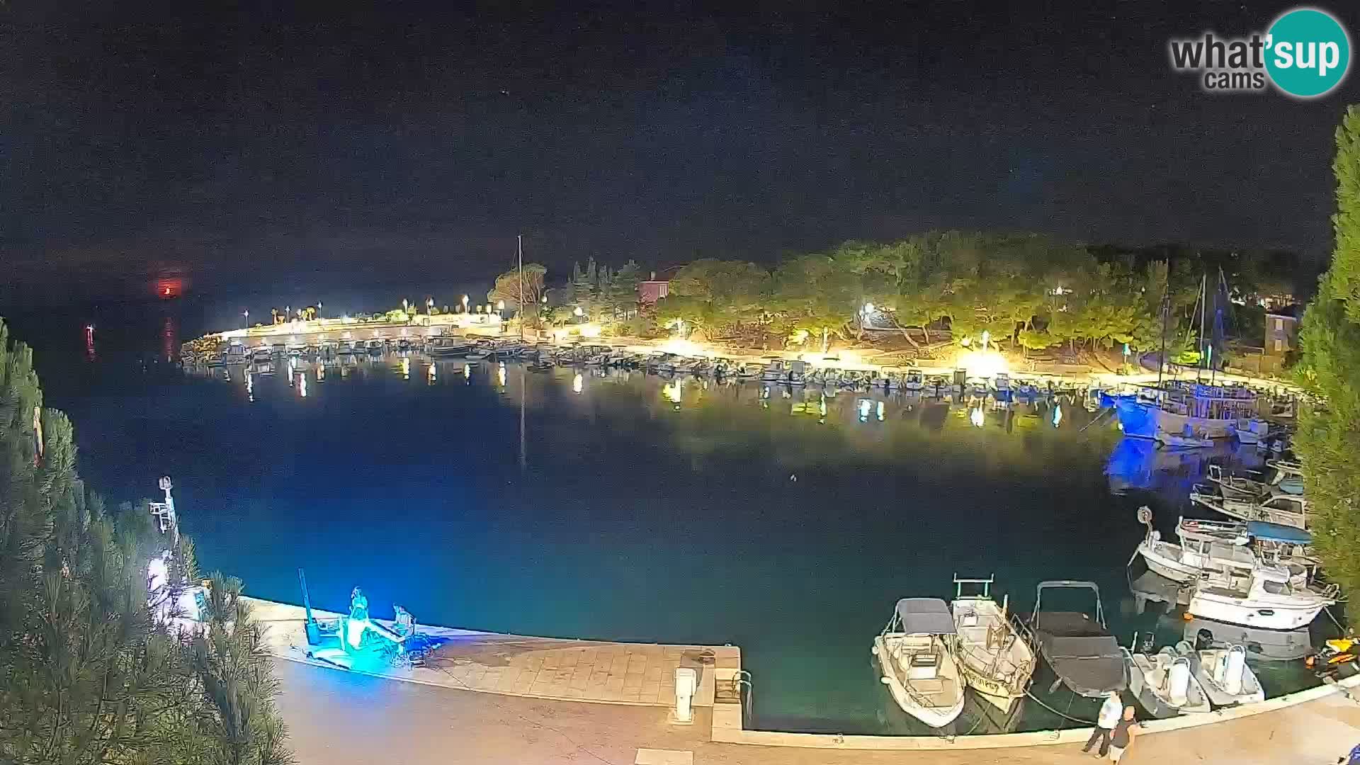 Mandre – marina