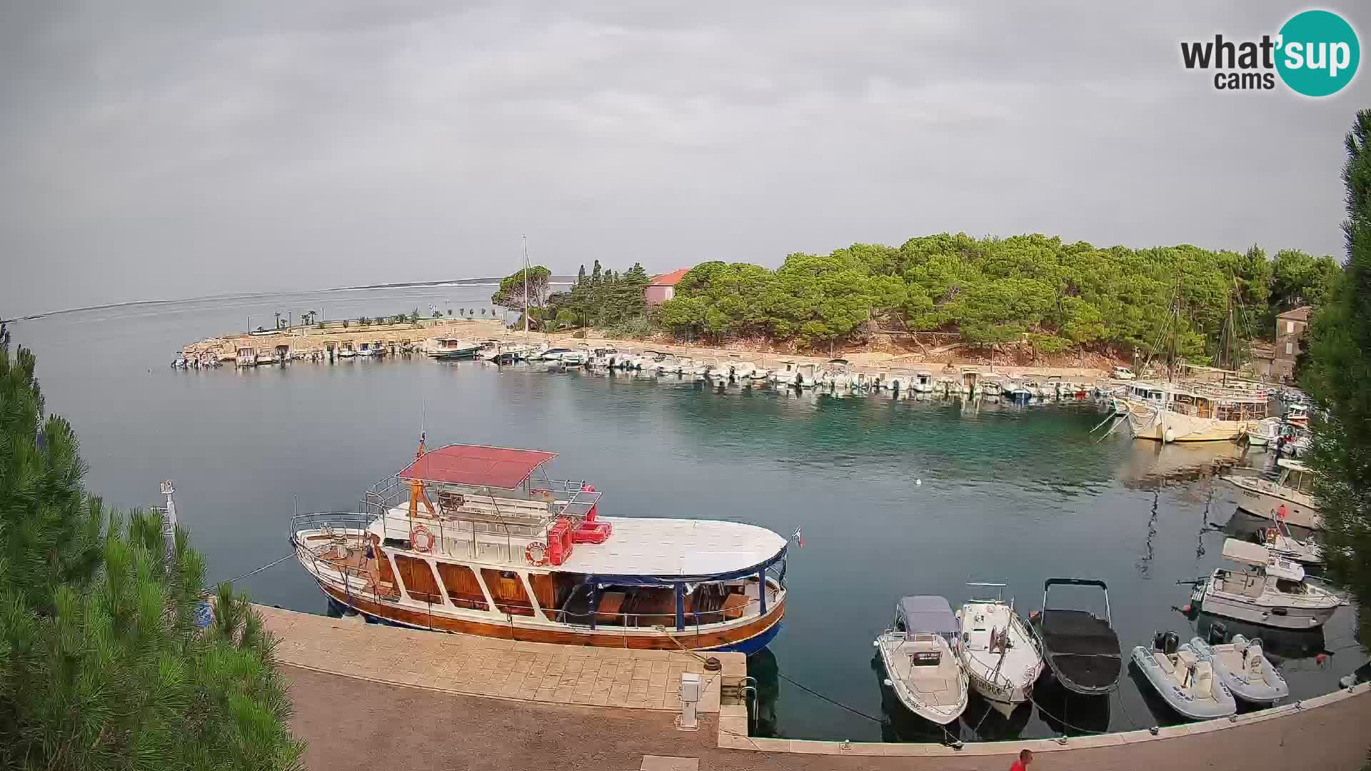 Mandre – marina