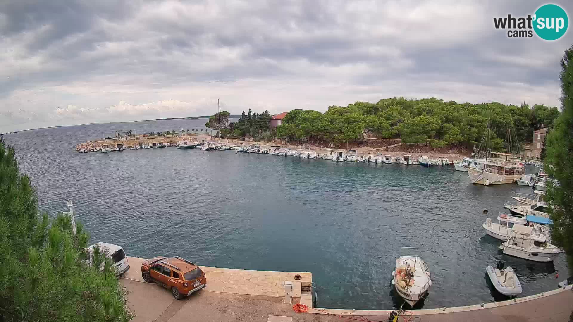 Mandre – marina