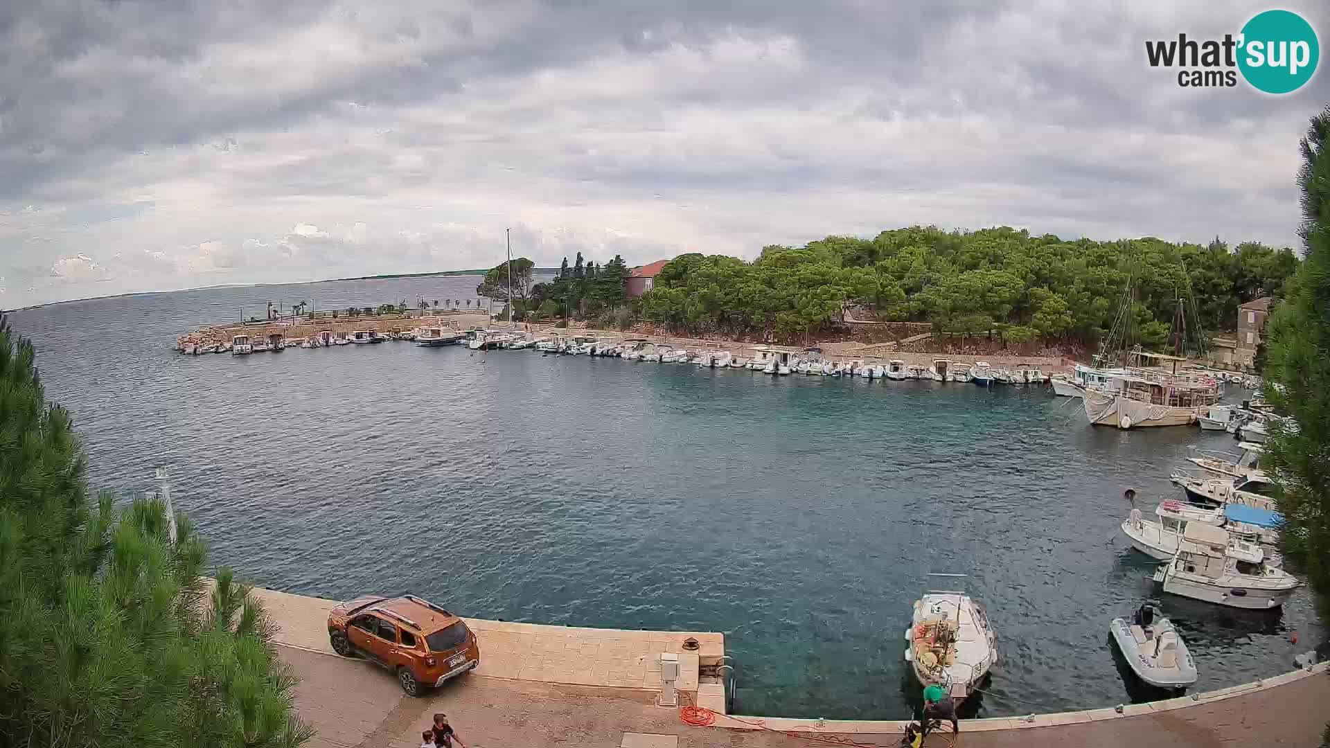 Mandre – marina