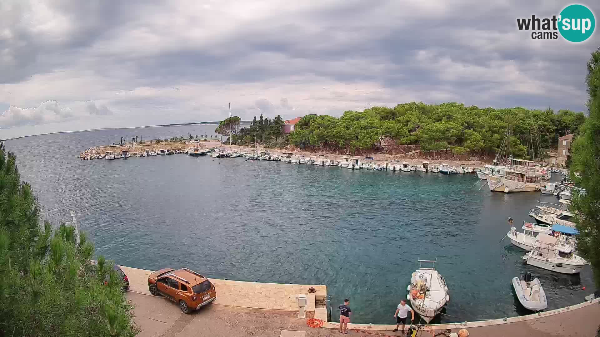 Mandre – marina