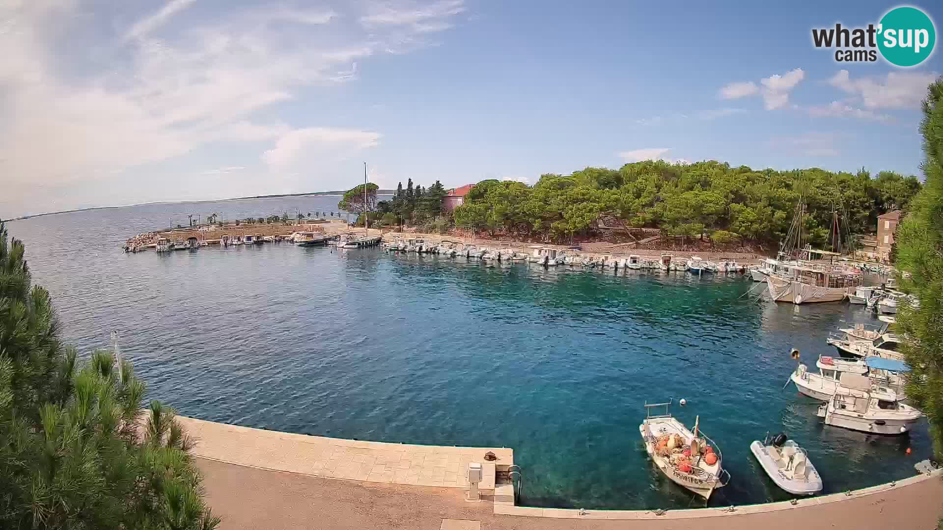 Mandre – marina