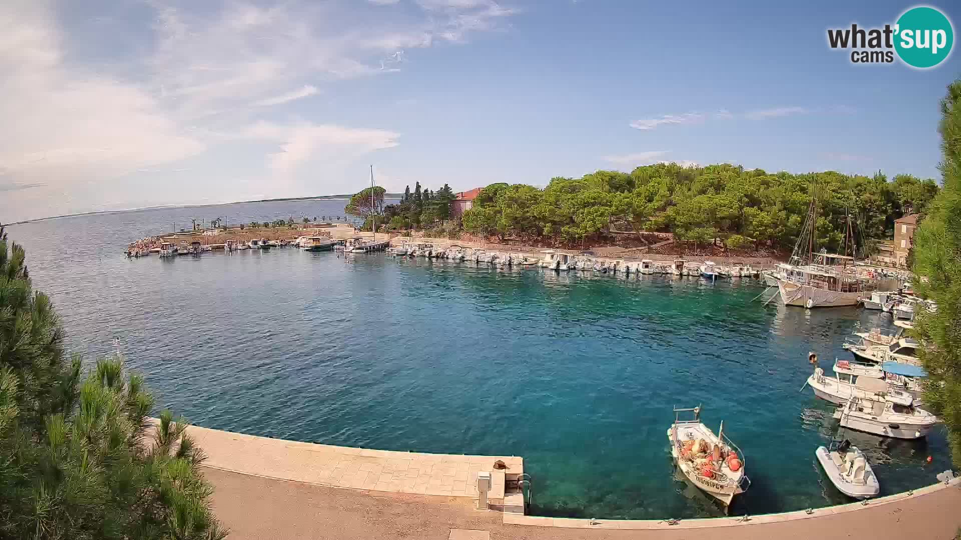 Mandre – marina