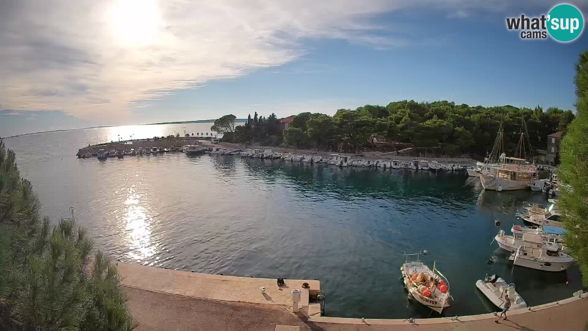 Mandre – marina