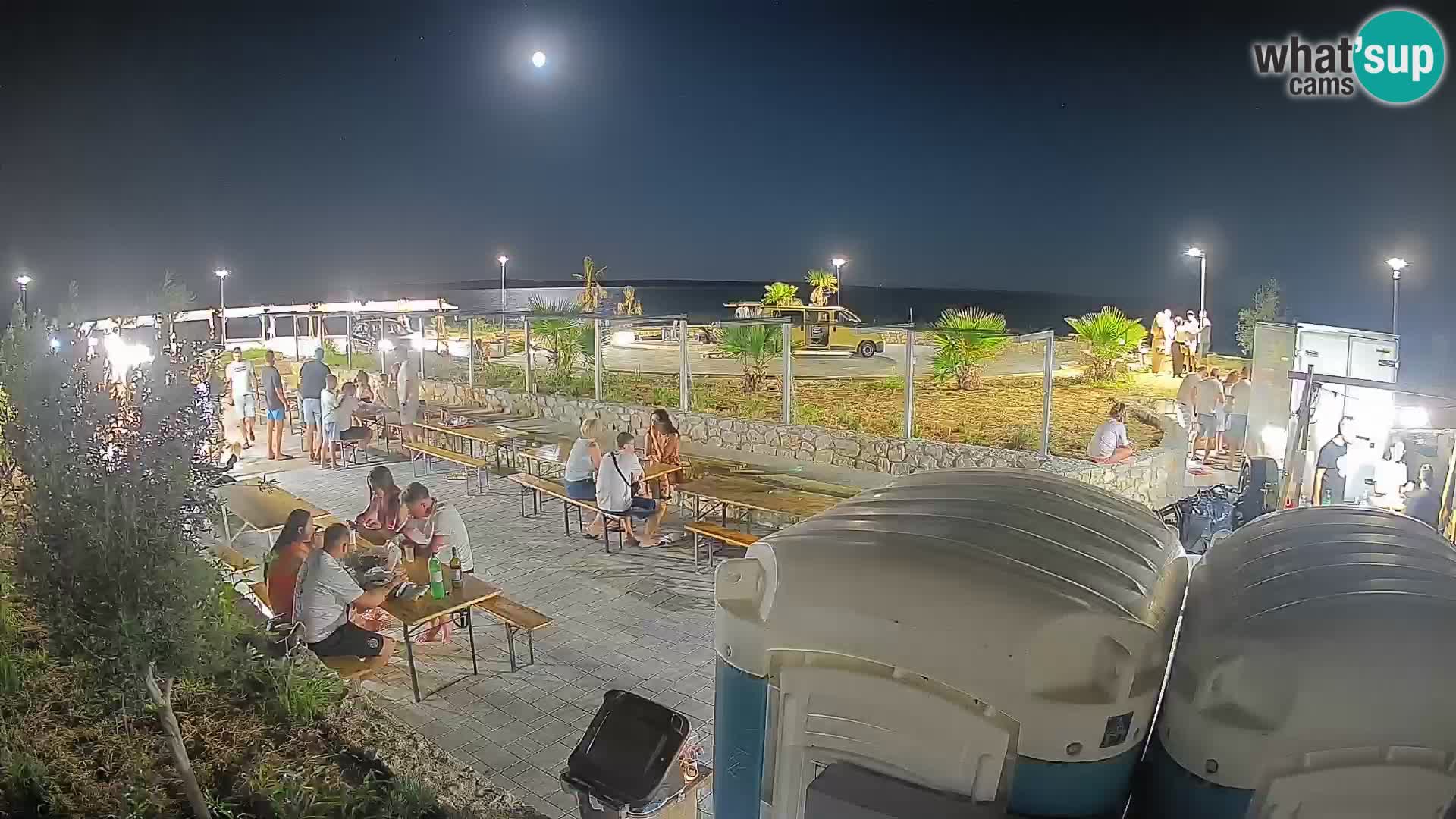 Webcam Mandre – Scène estivale Velika điga | Île de Pag