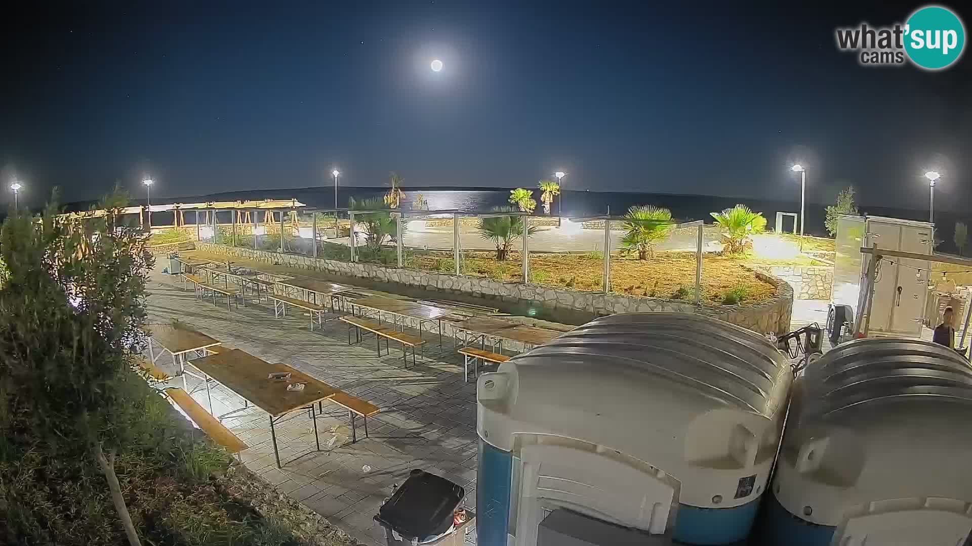Webcam Mandre – Scène estivale Velika điga | Île de Pag