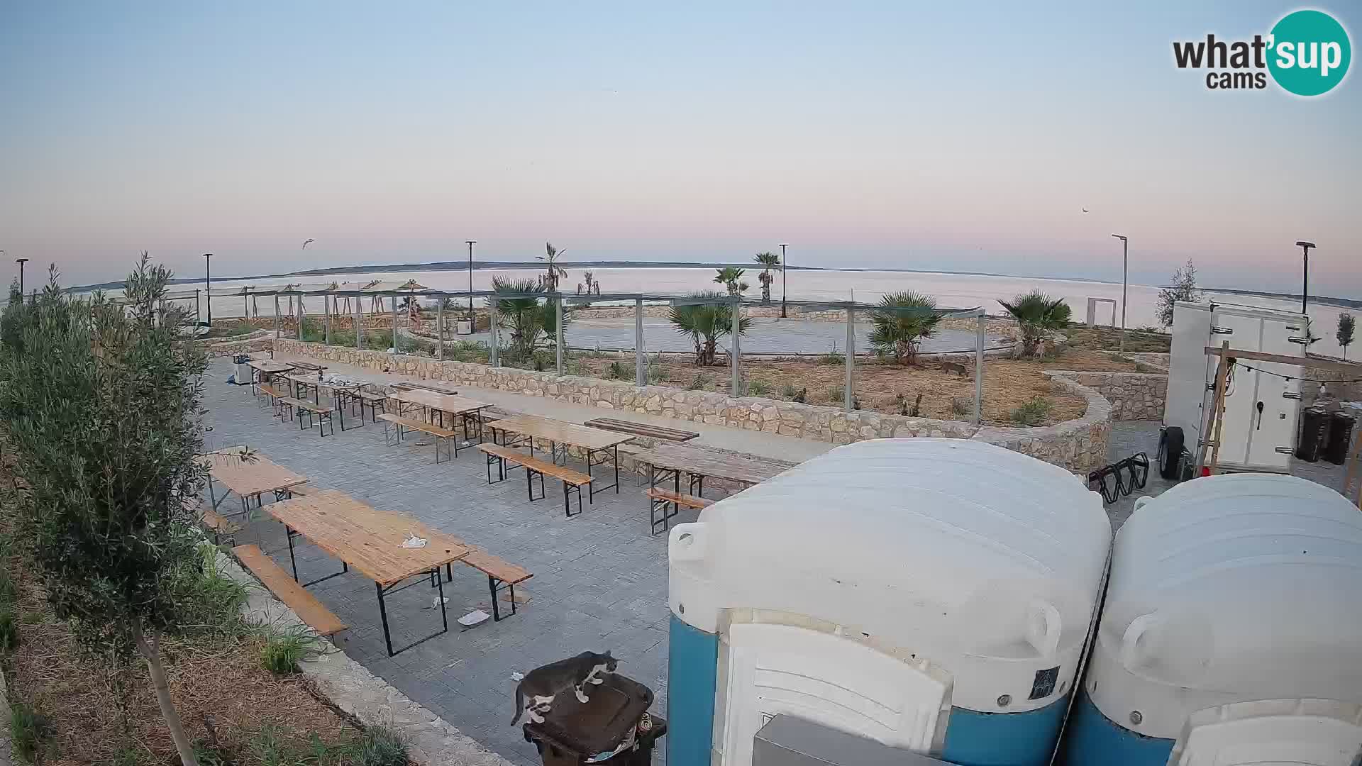 Web kamera Mandre – Ljetna pozornica Velika điga | Otok Pag