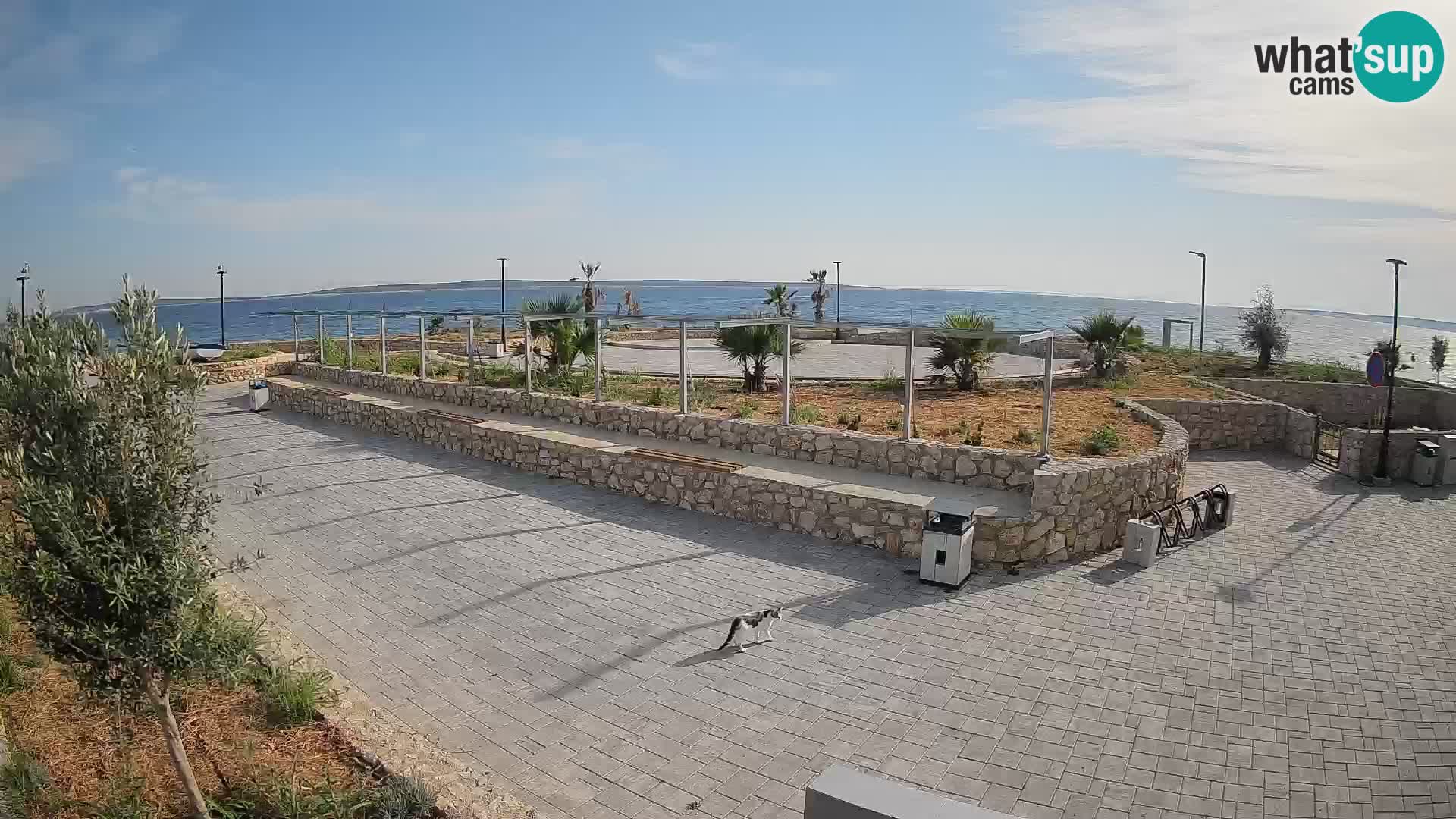 Spletna kamera Mandre – Poletni oder Velika điga | Otok Pag