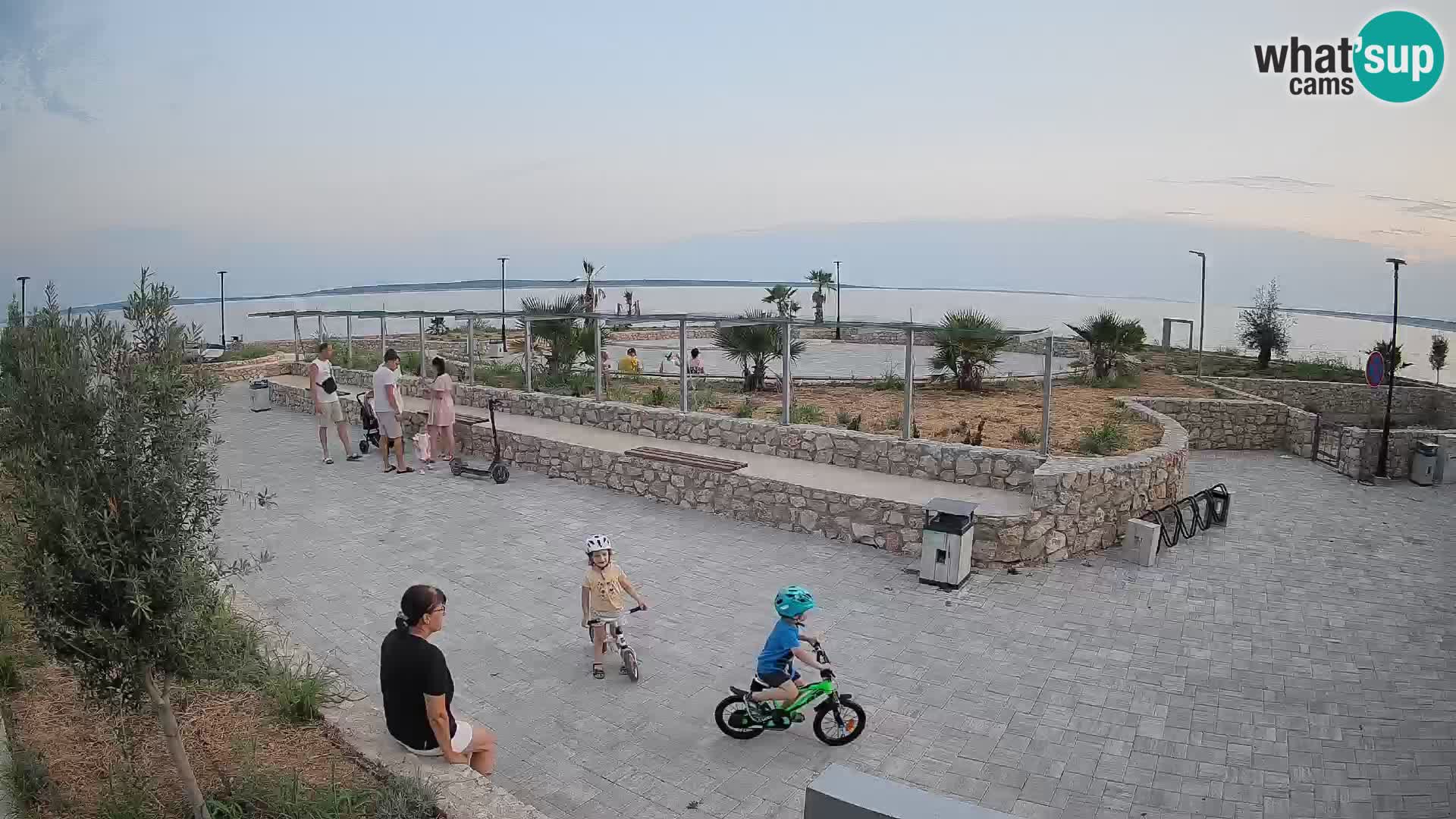 Webcam Mandre – Palco estivo Velika điga | Isola di Pag
