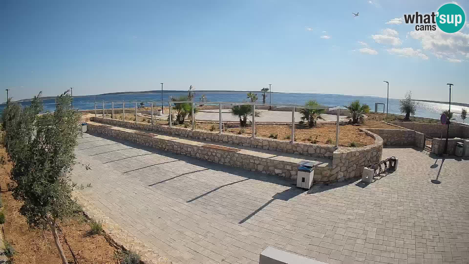 Spletna kamera Mandre – Poletni oder Velika điga | Otok Pag