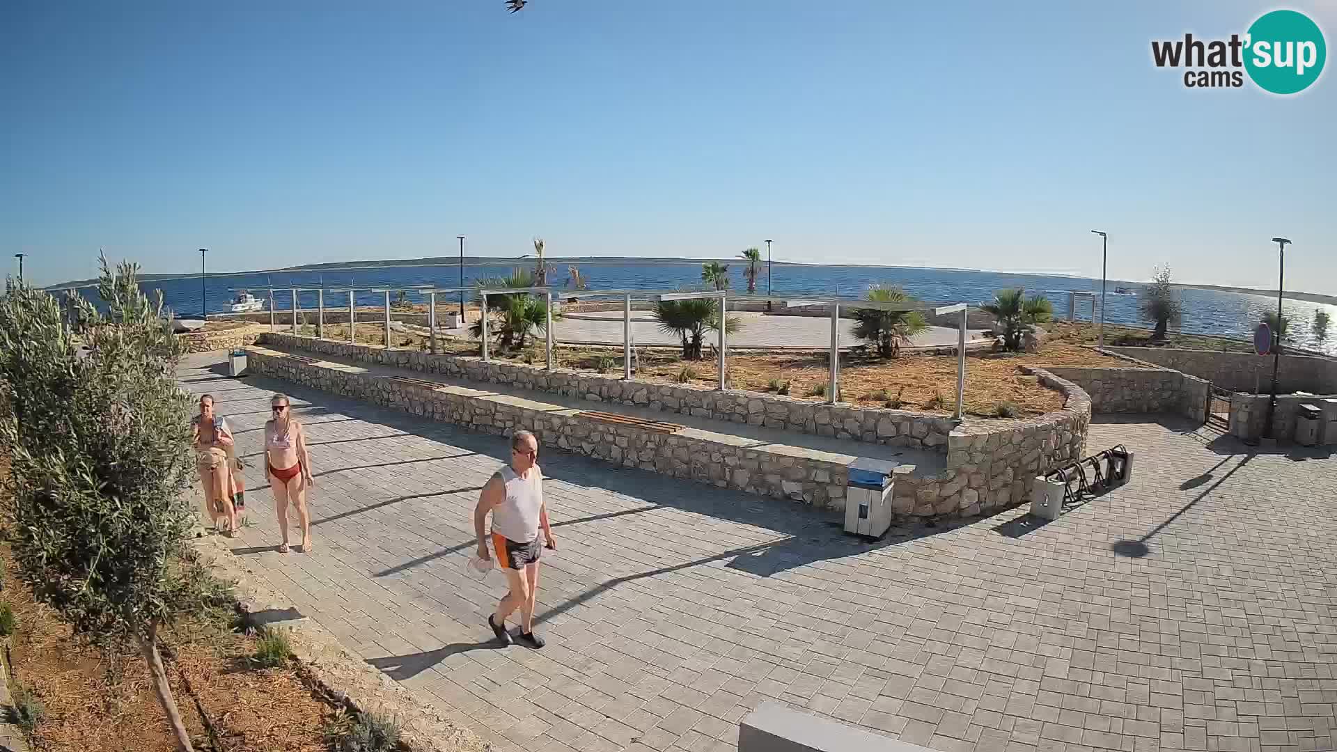 Webcam Mandre – Palco estivo Velika điga | Isola di Pag