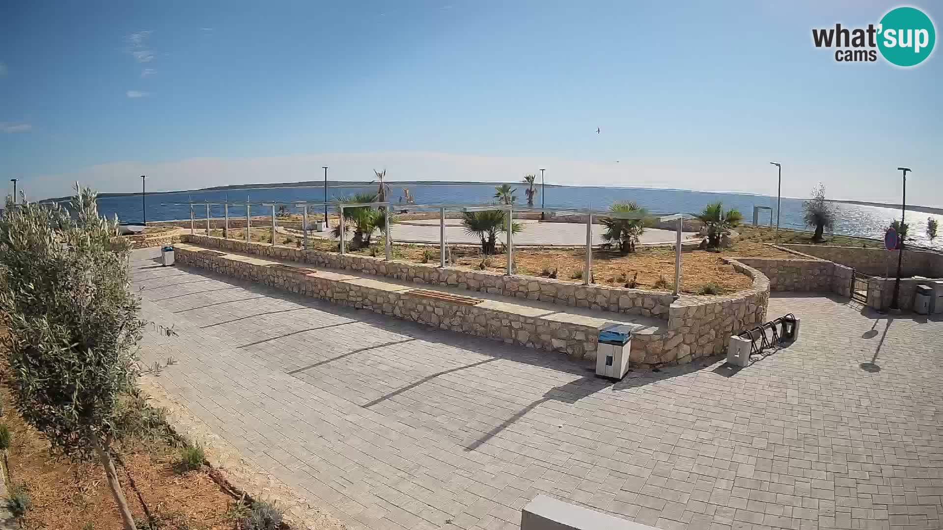 Webcam Mandre – Scène estivale Velika điga | Île de Pag