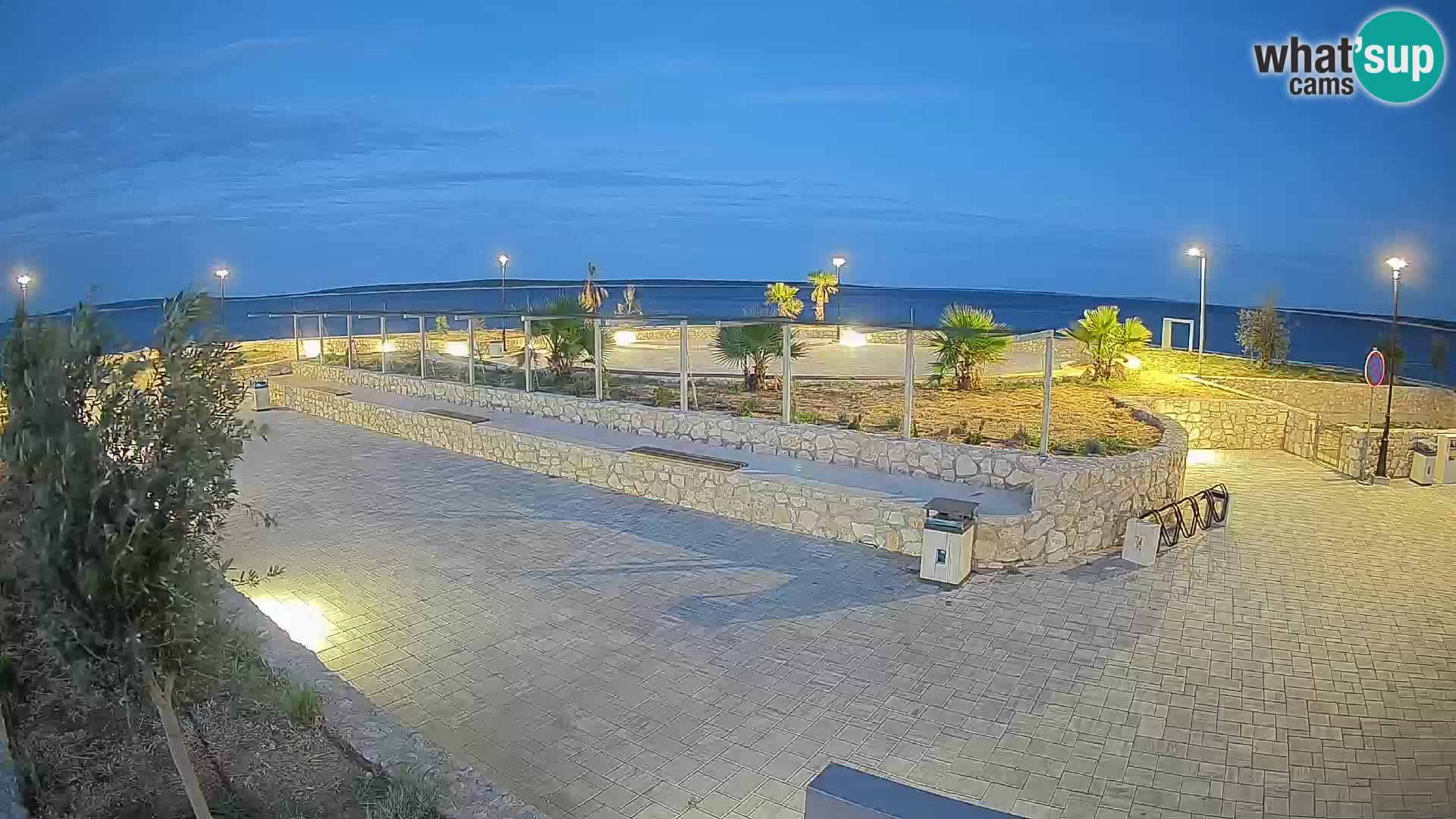 Webcam Mandre – Scène estivale Velika điga | Île de Pag