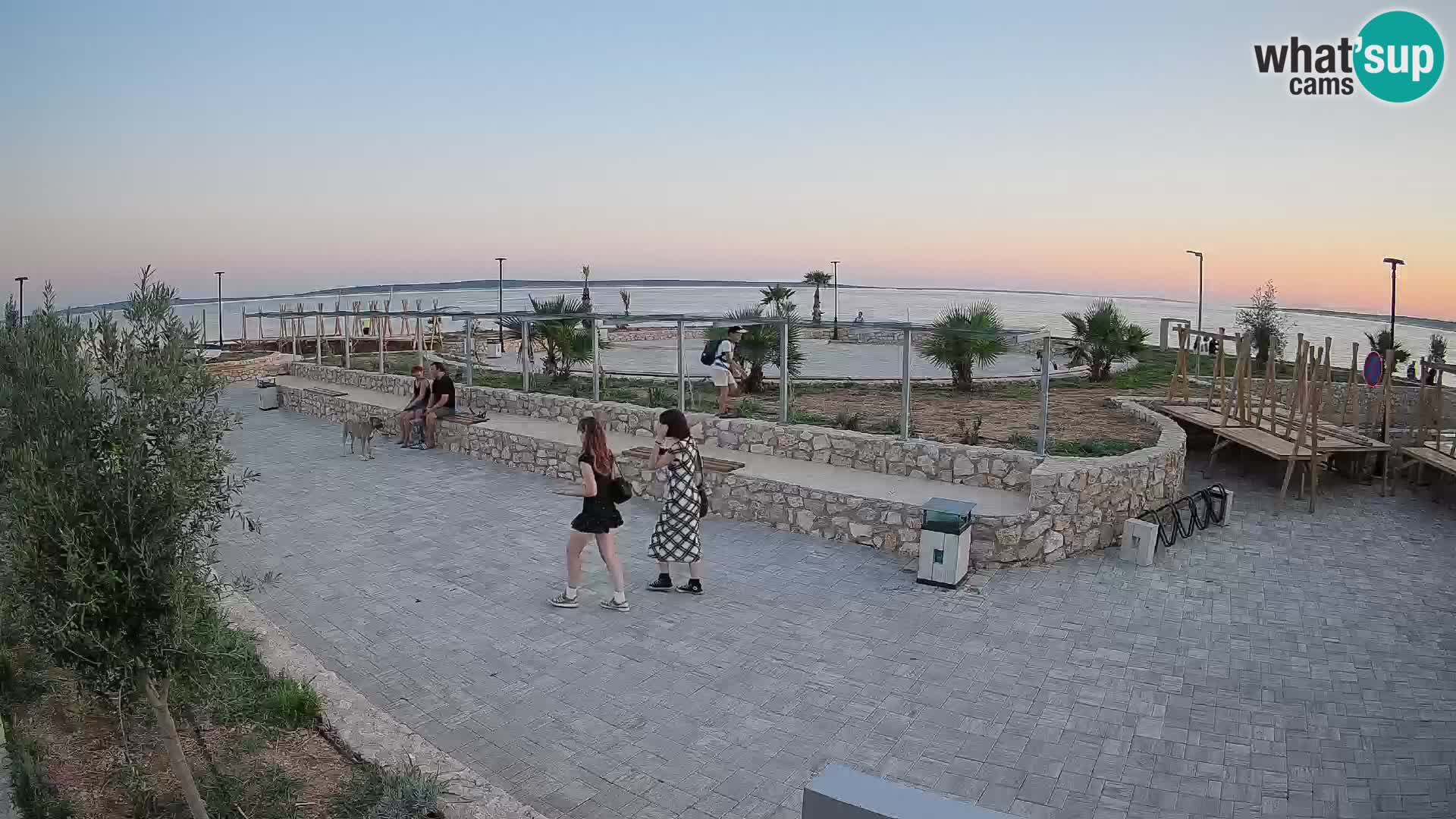Spletna kamera Mandre – Poletni oder Velika điga | Otok Pag