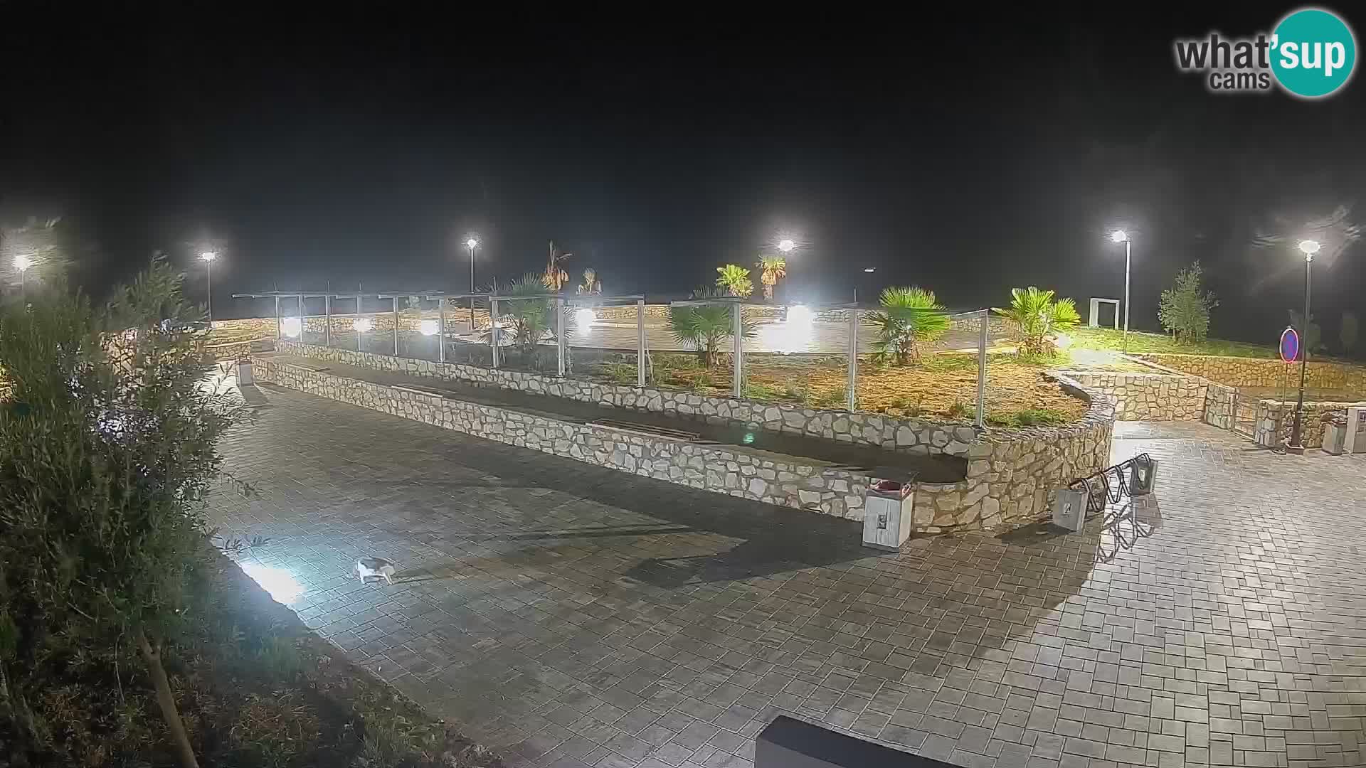 Webcam Mandre – Palco estivo Velika điga | Isola di Pag