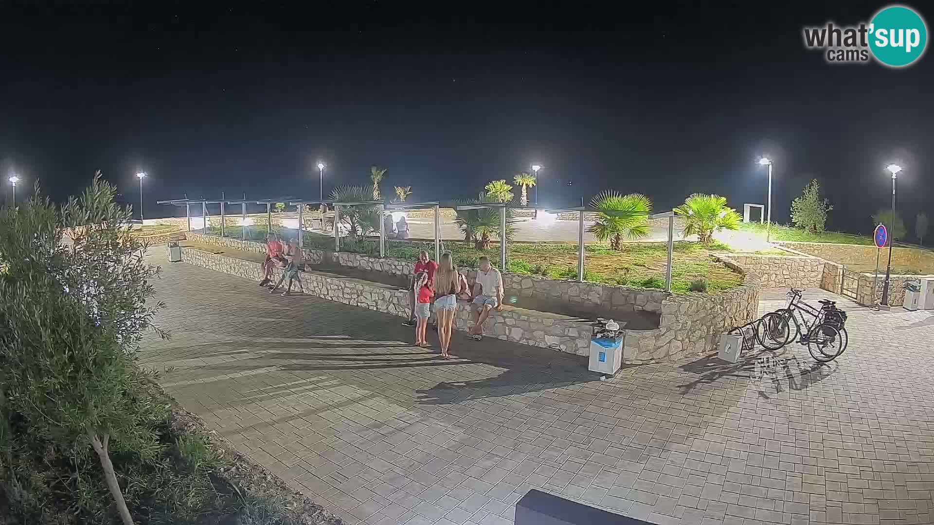 Webcam Mandre – Scène estivale Velika điga | Île de Pag