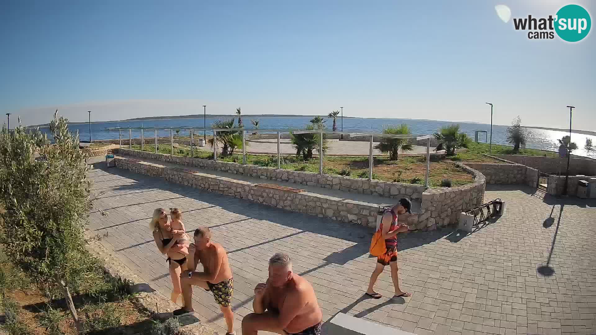Webcam Mandre – Scène estivale Velika điga | Île de Pag