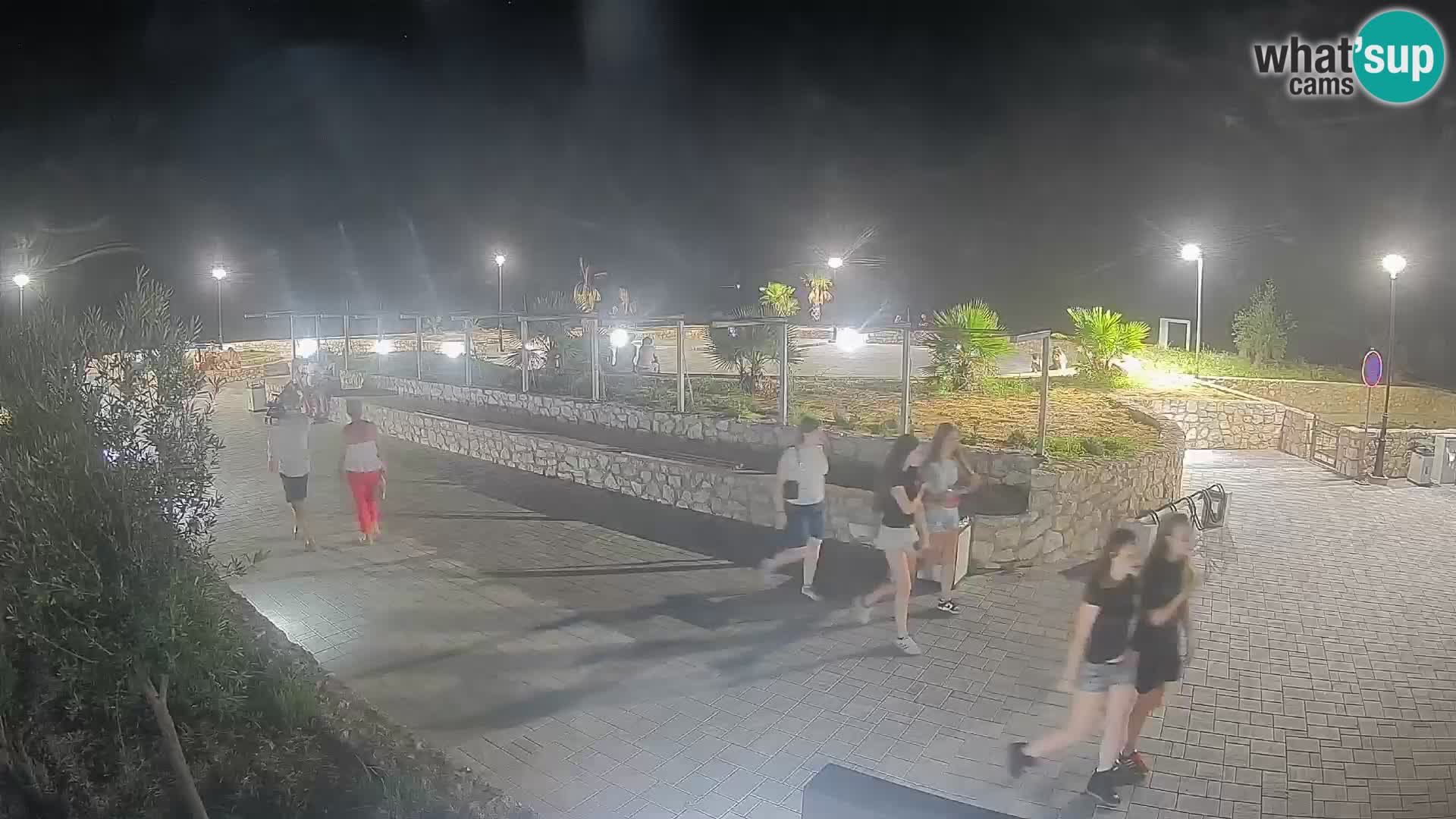 Webcam Mandre – Scène estivale Velika điga | Île de Pag