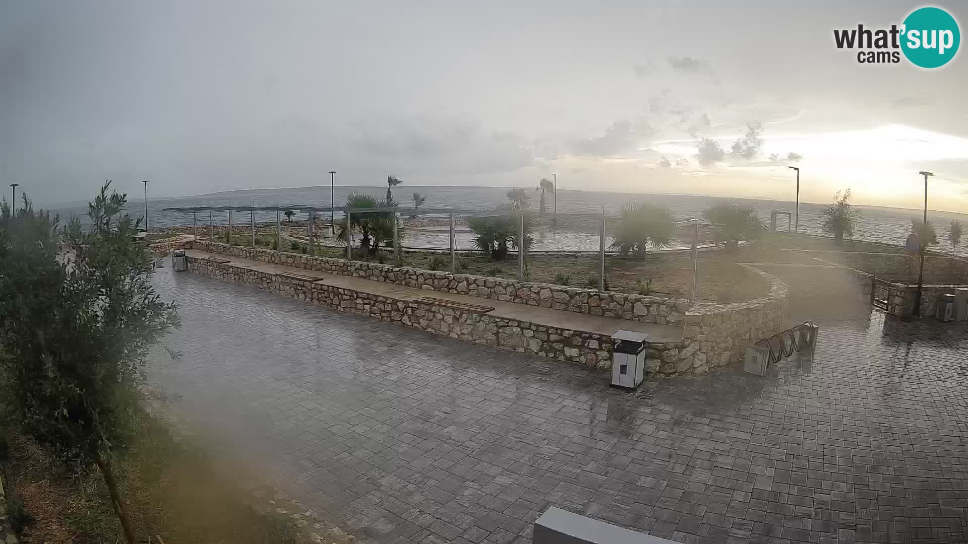 Webcam Mandre – Scène estivale Velika điga | Île de Pag