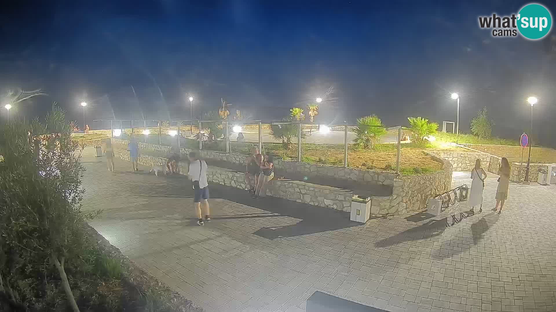 Webcam Mandre – Escenario de verano Velika điga | Isla de Pag