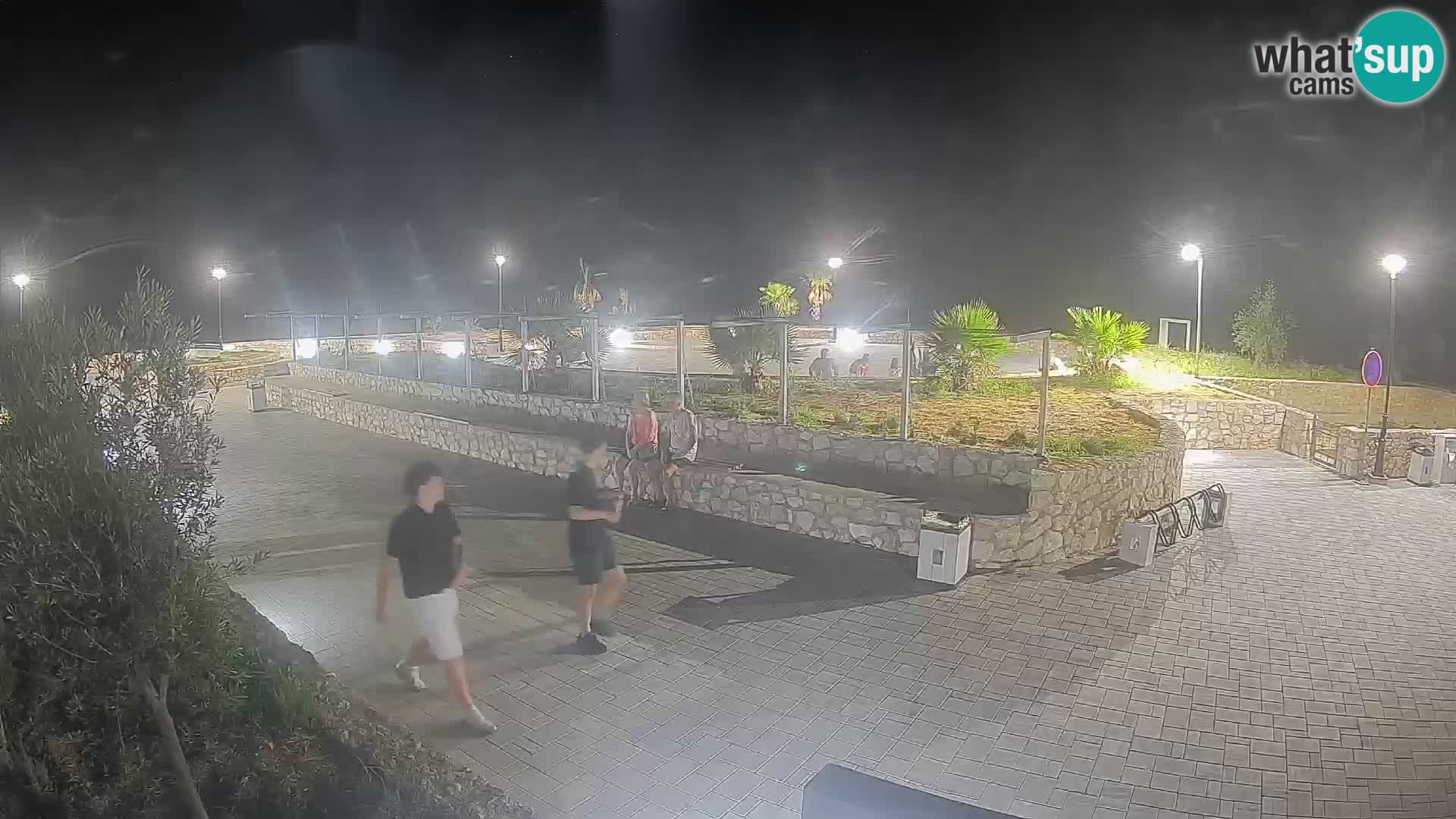 Webcam Mandre – Scène estivale Velika điga | Île de Pag