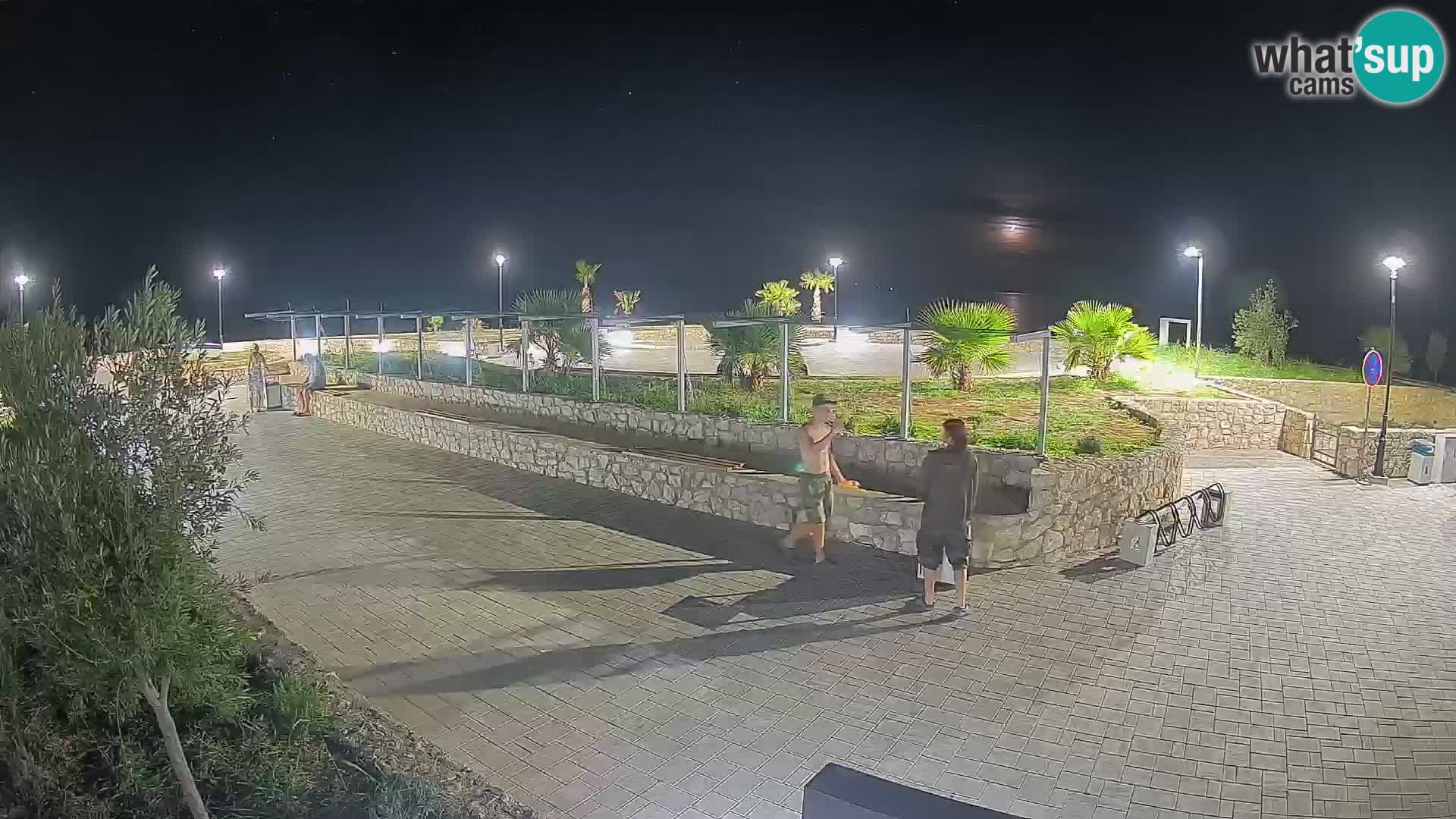 Spletna kamera Mandre – Poletni oder Velika điga | Otok Pag