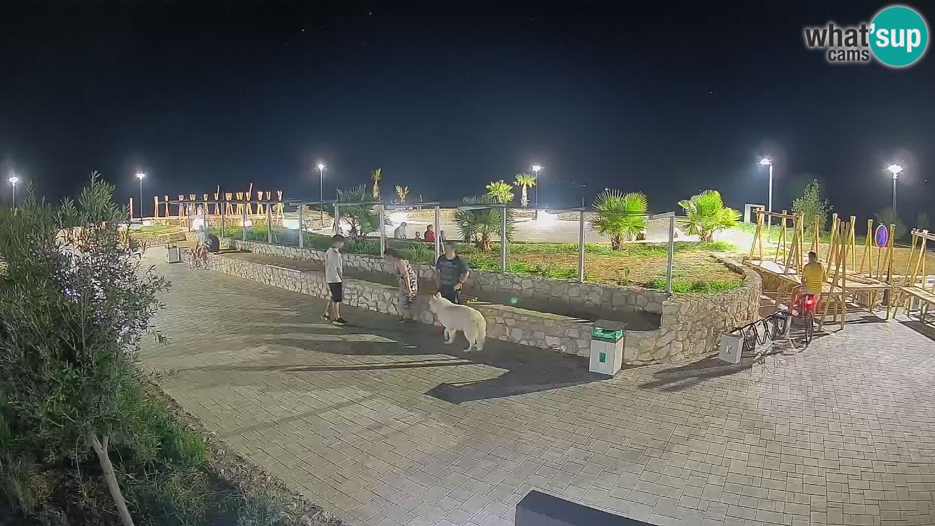 Webcam Mandre – Scène estivale Velika điga | Île de Pag