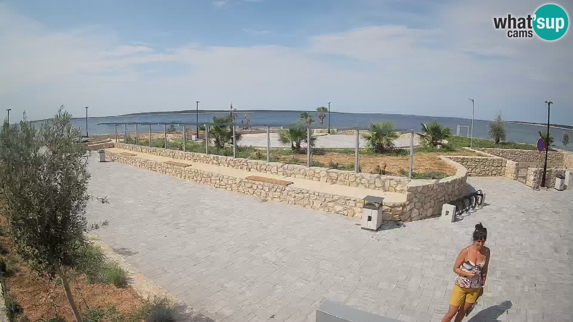 Webcam Mandre – Scène estivale Velika điga | Île de Pag