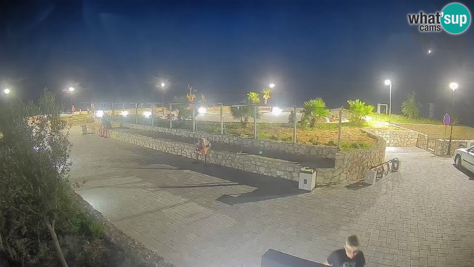 Webcam Mandre – Scène estivale Velika điga | Île de Pag