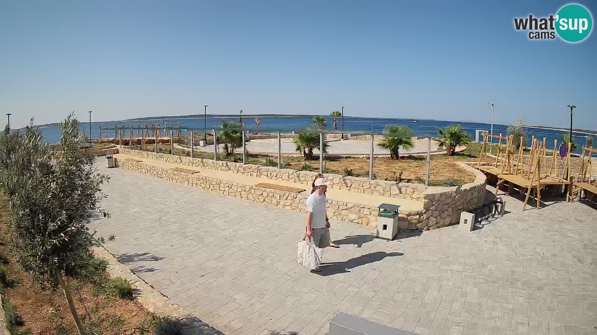 Webcam Mandre – Scène estivale Velika điga | Île de Pag